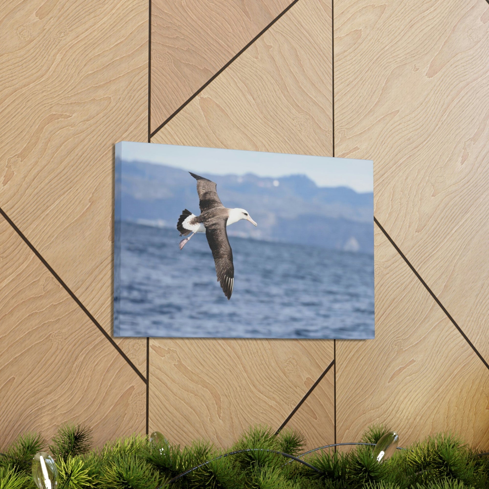 Scripture Walls Albatross Hunting Albatross on Hunt Print Animal Wall Art Wildlife Canvas Prints Wall Art Ready to Hang Unframed-Express Your Love Gifts