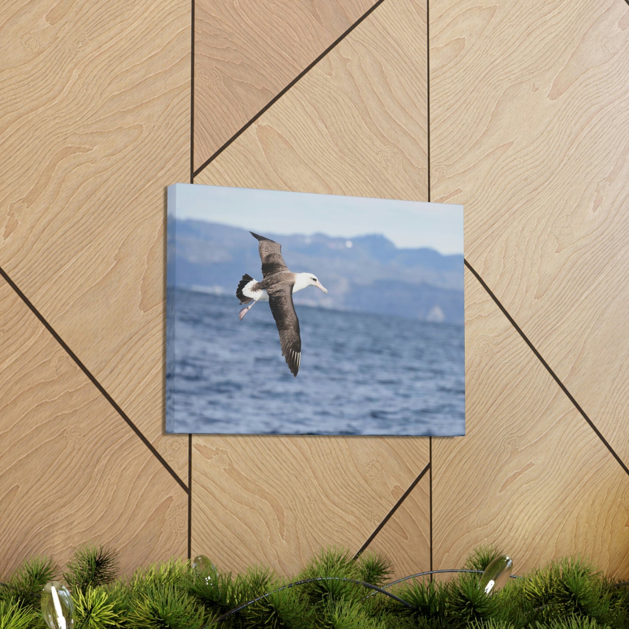 Scripture Walls Albatross Hunting Albatross on Hunt Print Animal Wall Art Wildlife Canvas Prints Wall Art Ready to Hang Unframed-Express Your Love Gifts