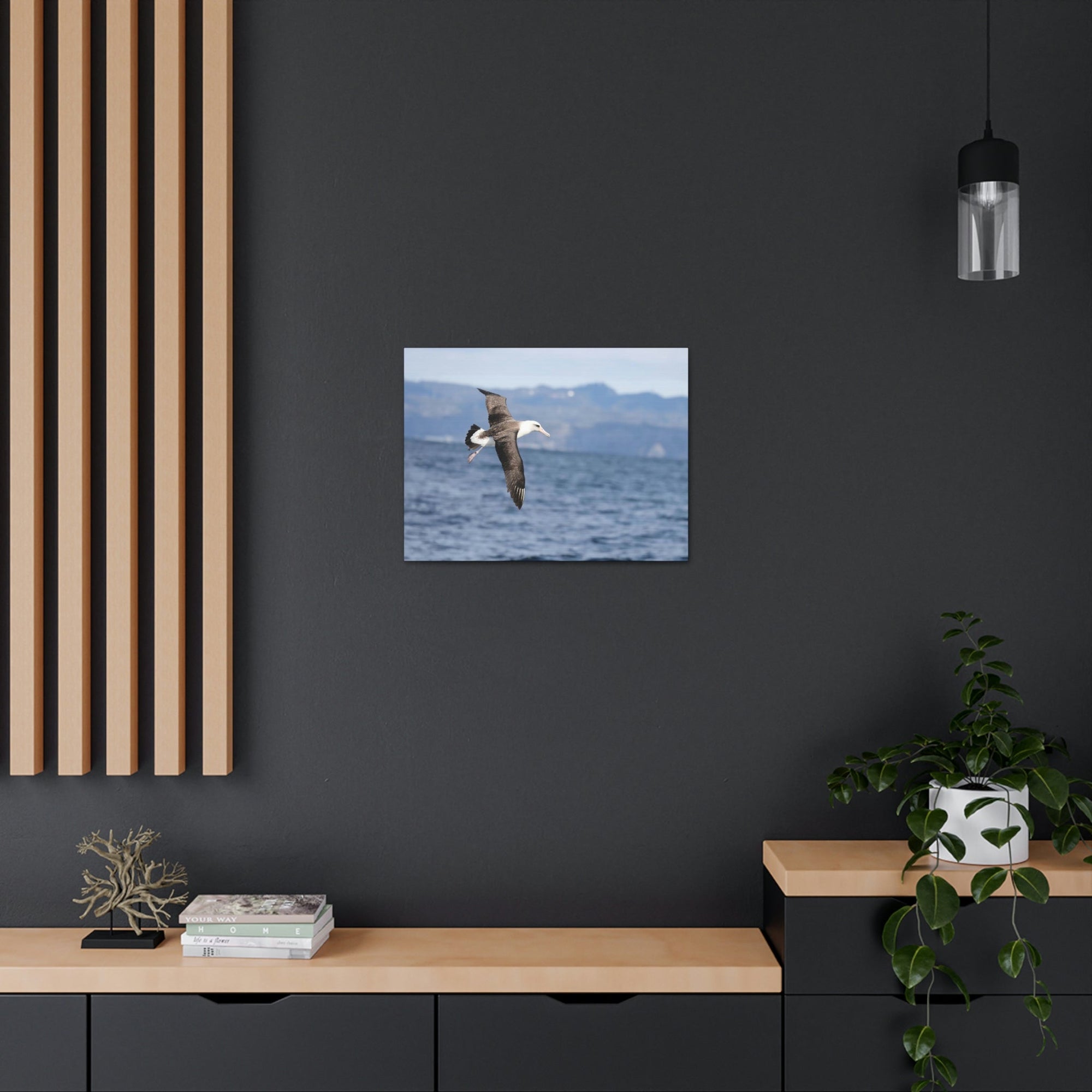 Scripture Walls Albatross Hunting Albatross on Hunt Print Animal Wall Art Wildlife Canvas Prints Wall Art Ready to Hang Unframed-Express Your Love Gifts