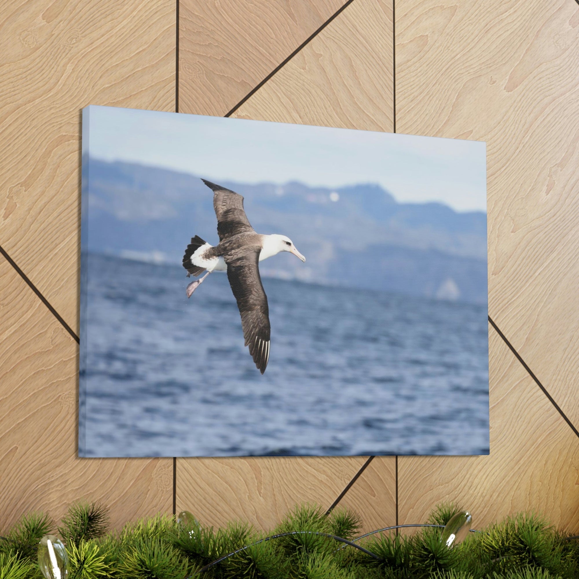 Scripture Walls Albatross Hunting Albatross on Hunt Print Animal Wall Art Wildlife Canvas Prints Wall Art Ready to Hang Unframed-Express Your Love Gifts