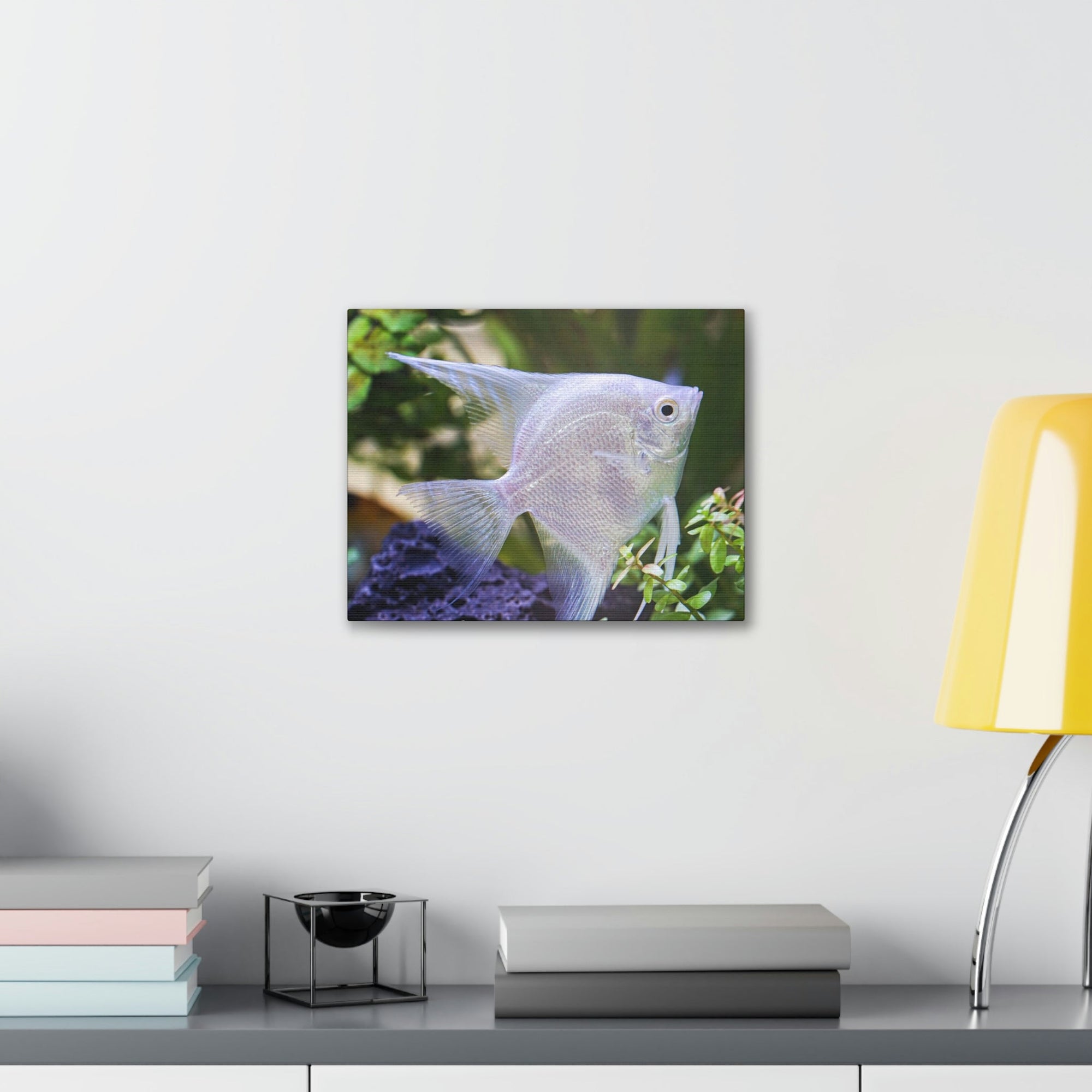 Albino Angel Fish Under the Sea Angel Fish Wall Art Ready To Hang Unframed-Express Your Love Gifts