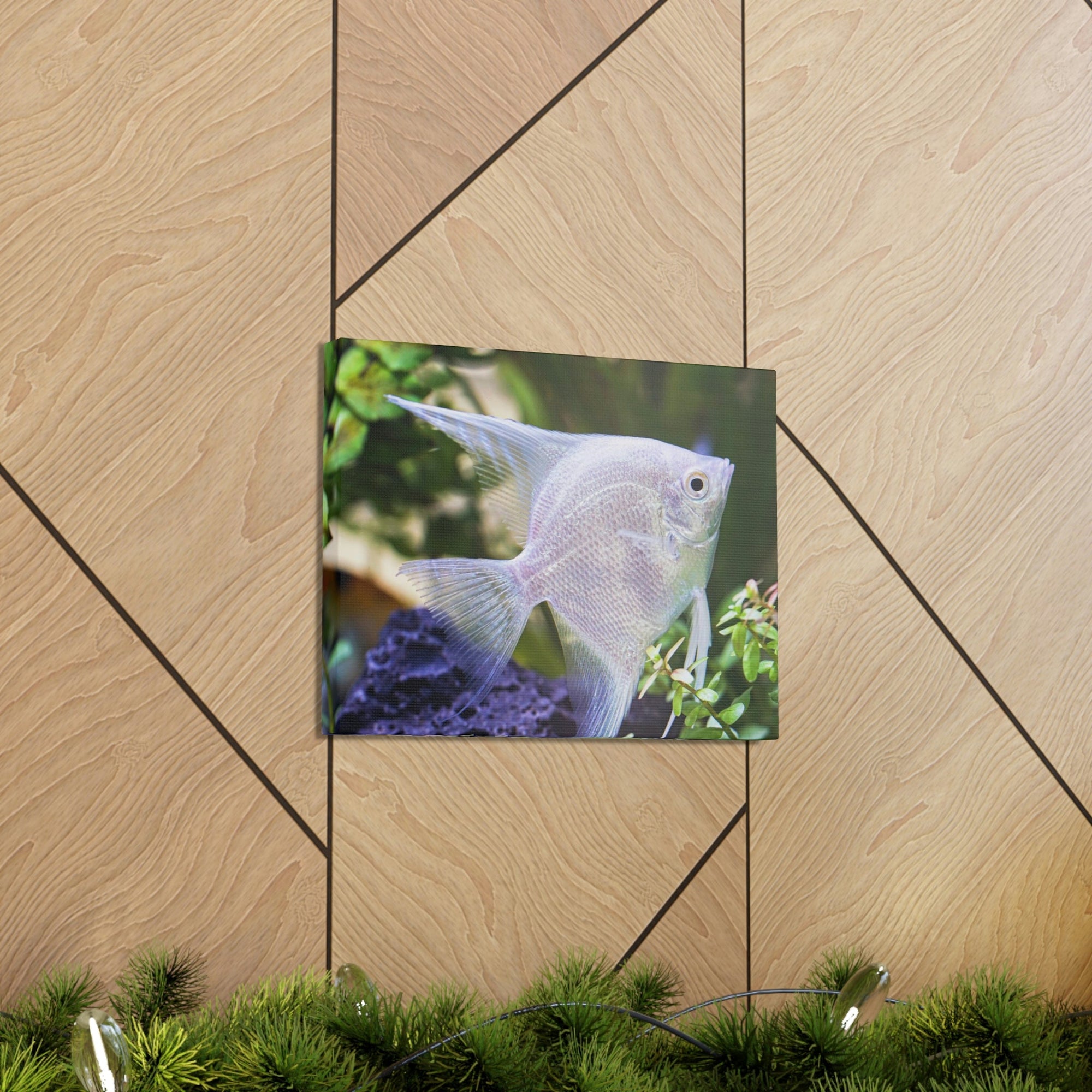 Albino Angel Fish Under the Sea Angel Fish Wall Art Ready To Hang Unframed-Express Your Love Gifts