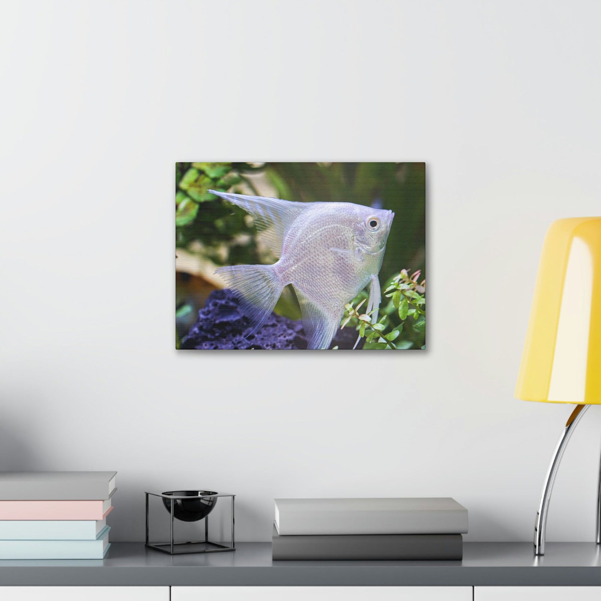 Albino Angel Fish Under the Sea Angel Fish Wall Art Ready To Hang Unframed-Express Your Love Gifts