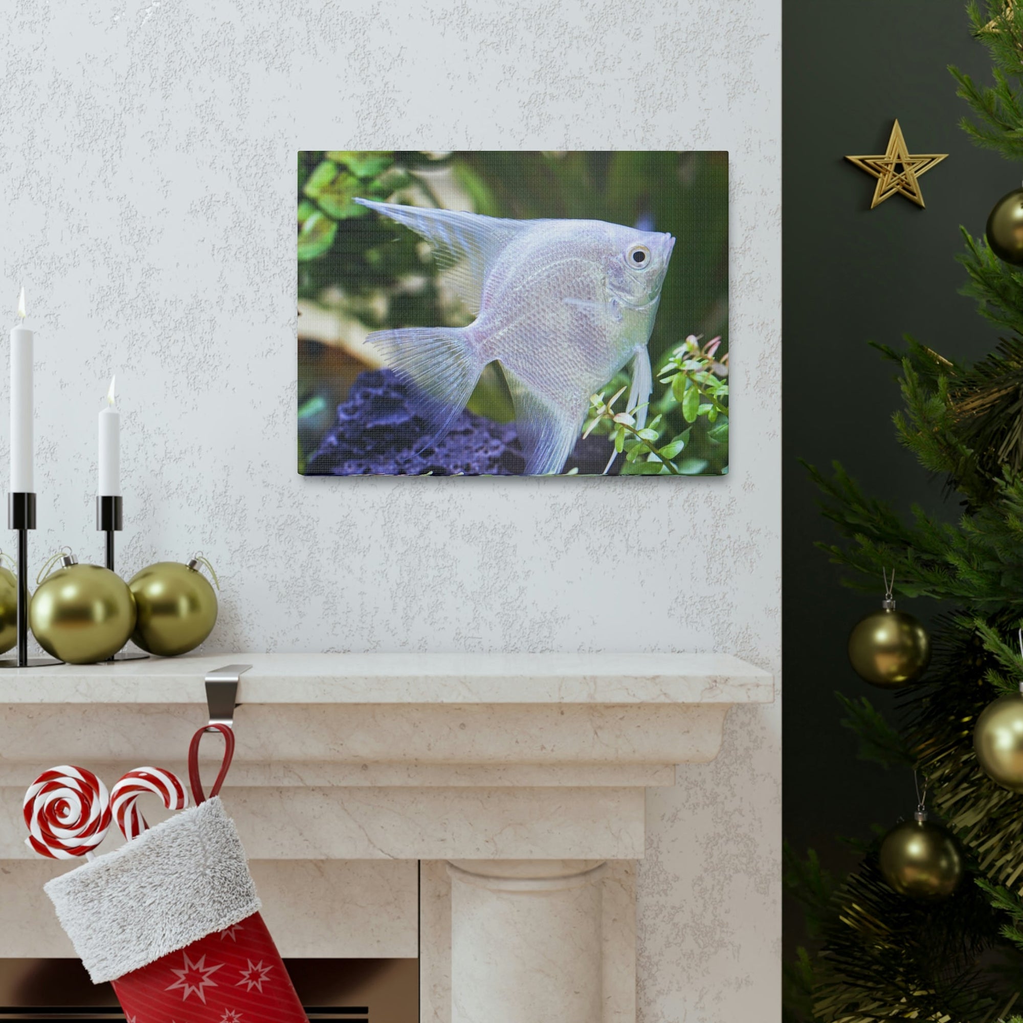 Albino Angel Fish Under the Sea Angel Fish Wall Art Ready To Hang Unframed-Express Your Love Gifts