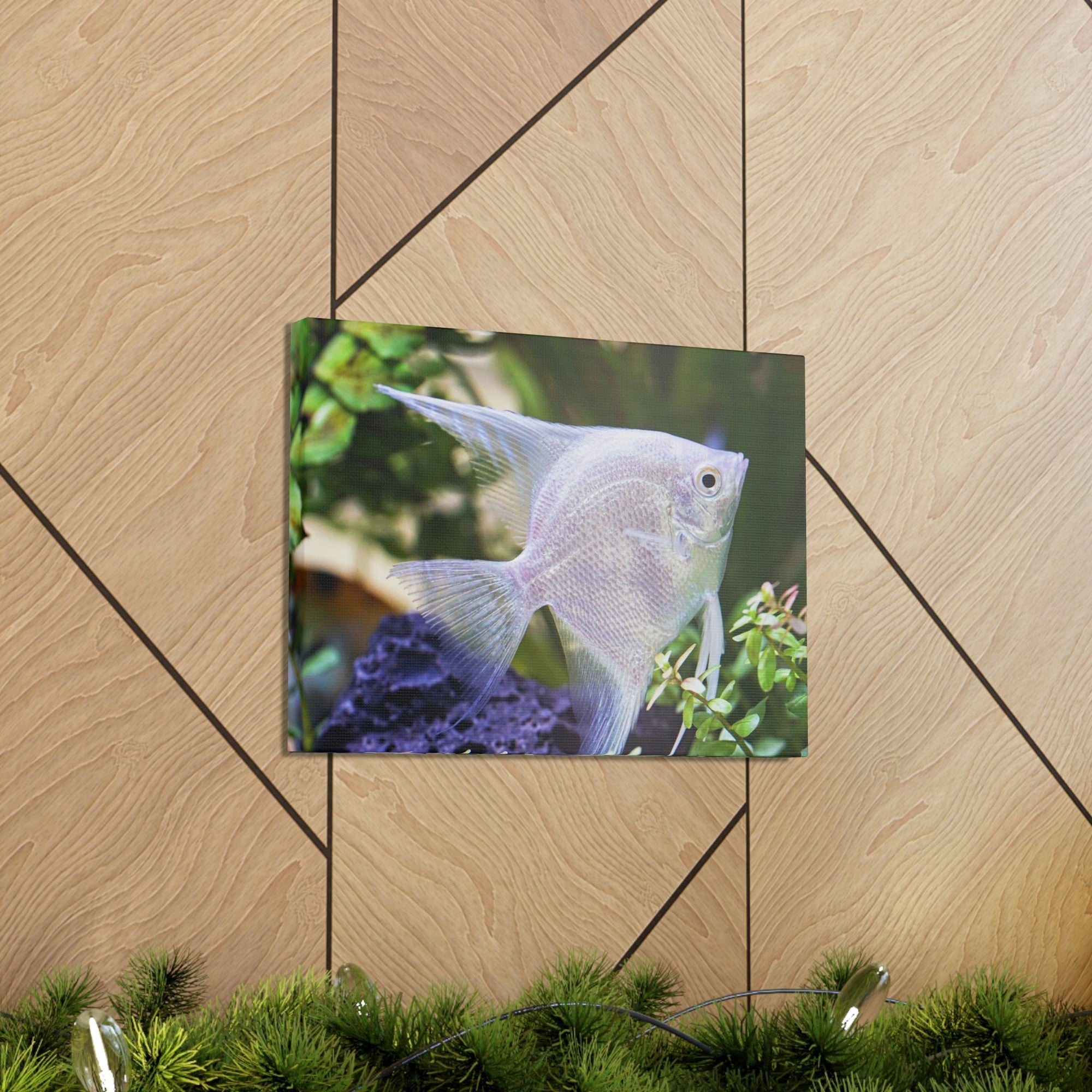 Albino Angel Fish Under the Sea Angel Fish Wall Art Ready To Hang Unframed-Express Your Love Gifts