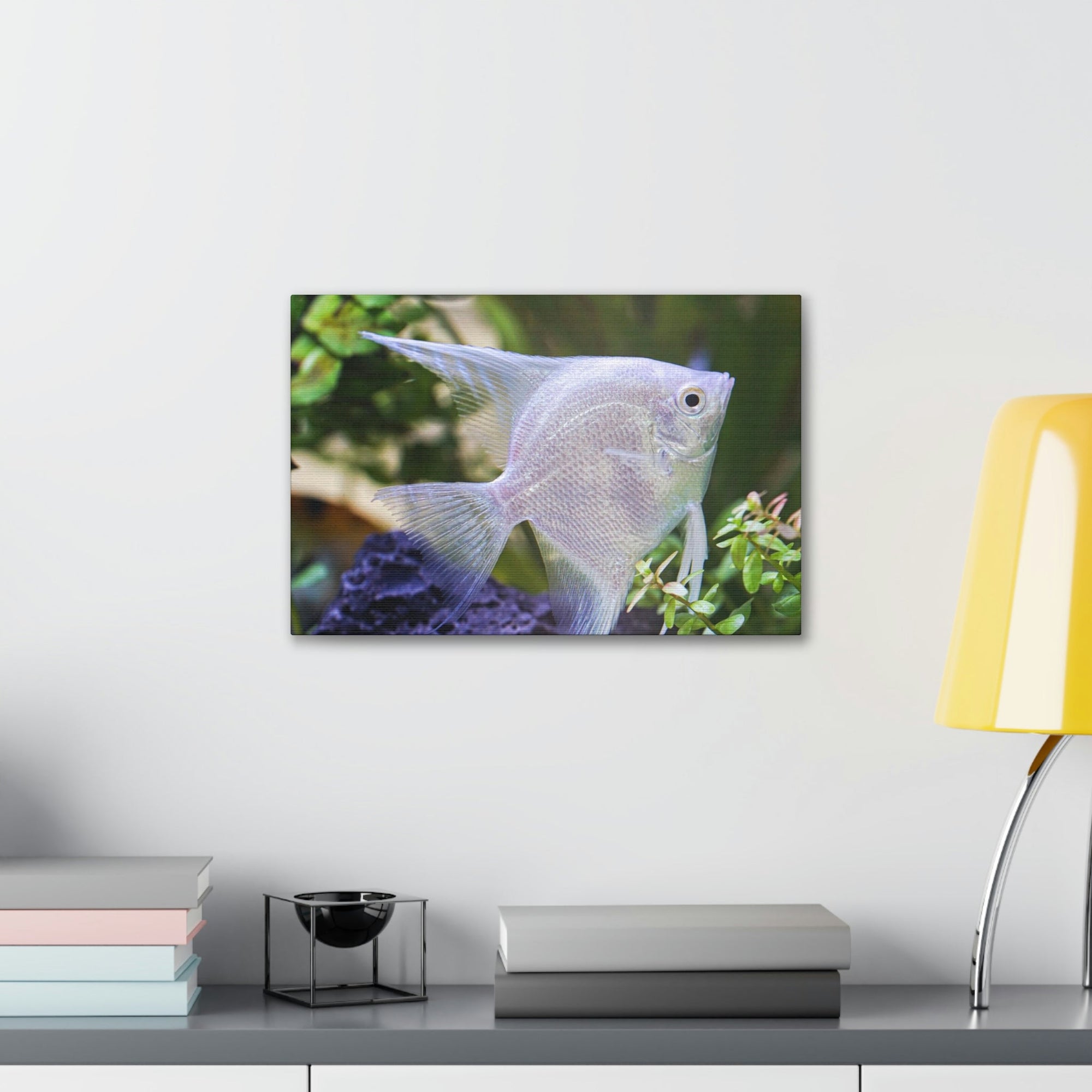 Albino Angel Fish Under the Sea Angel Fish Wall Art Ready To Hang Unframed-Express Your Love Gifts