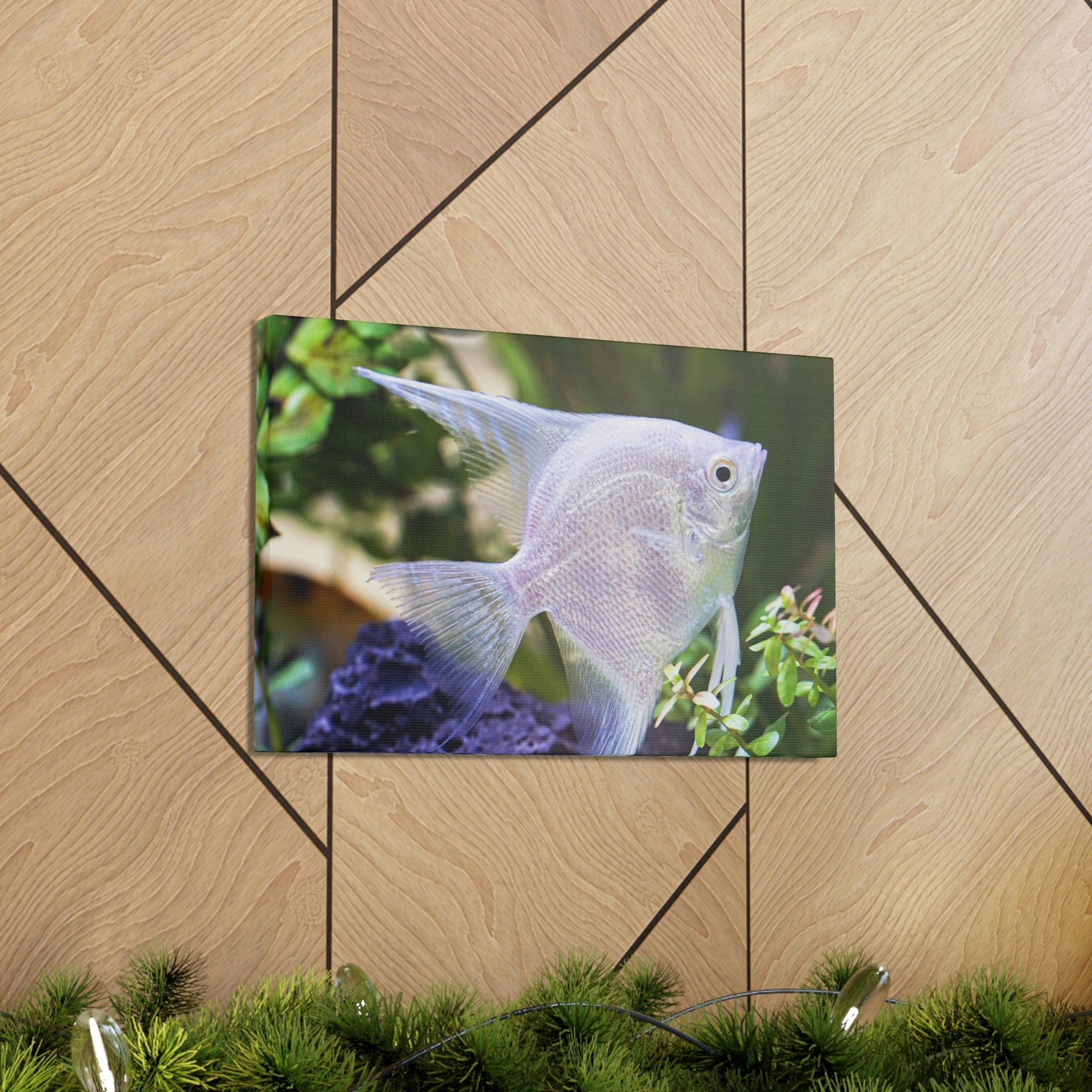 Albino Angel Fish Under the Sea Angel Fish Wall Art Ready To Hang Unframed-Express Your Love Gifts