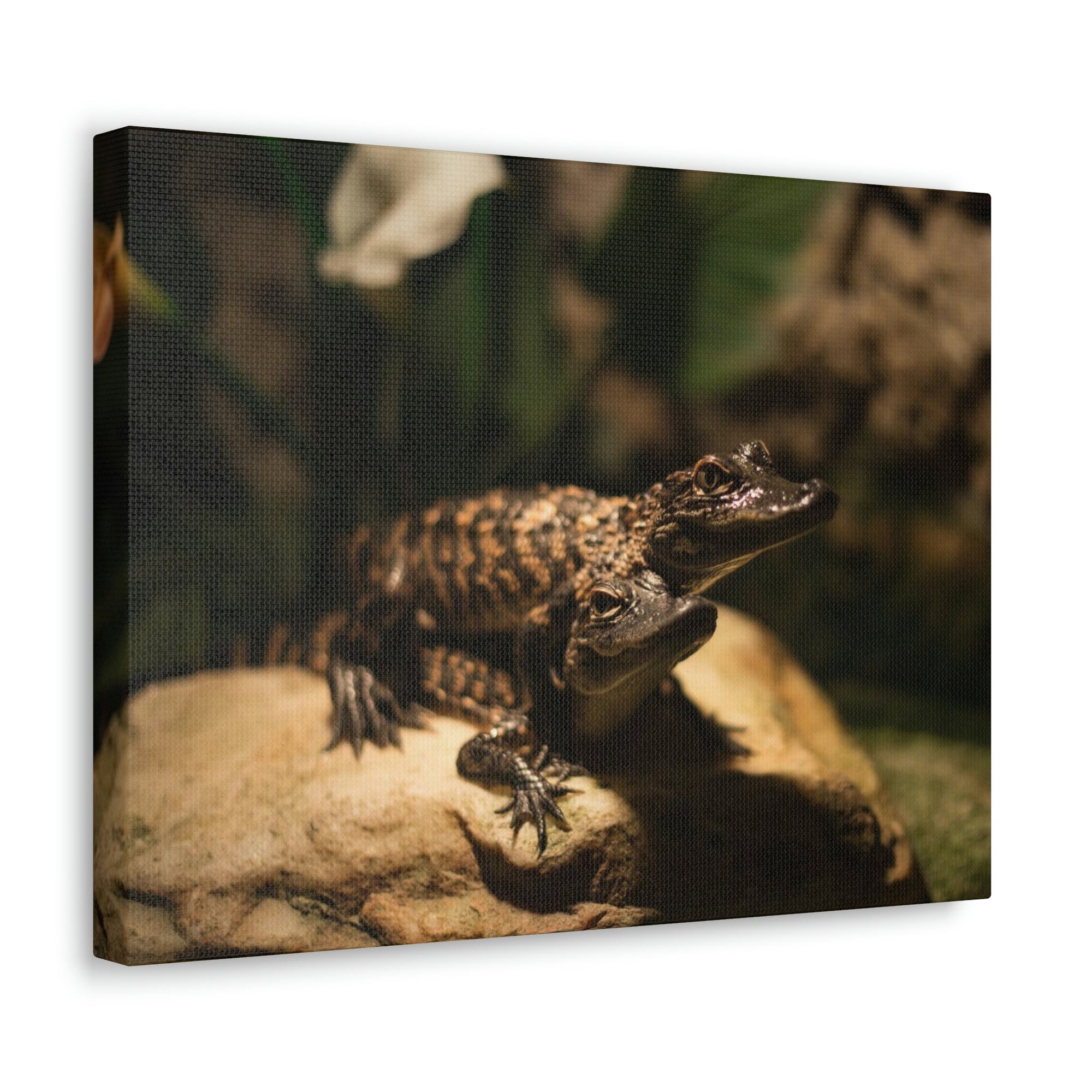 Scripture Walls Alligator Couple Alligator Troop Print Animal Wall Art Wildlife Canvas Prints Wall Art Ready to Hang Unframed-Express Your Love Gifts