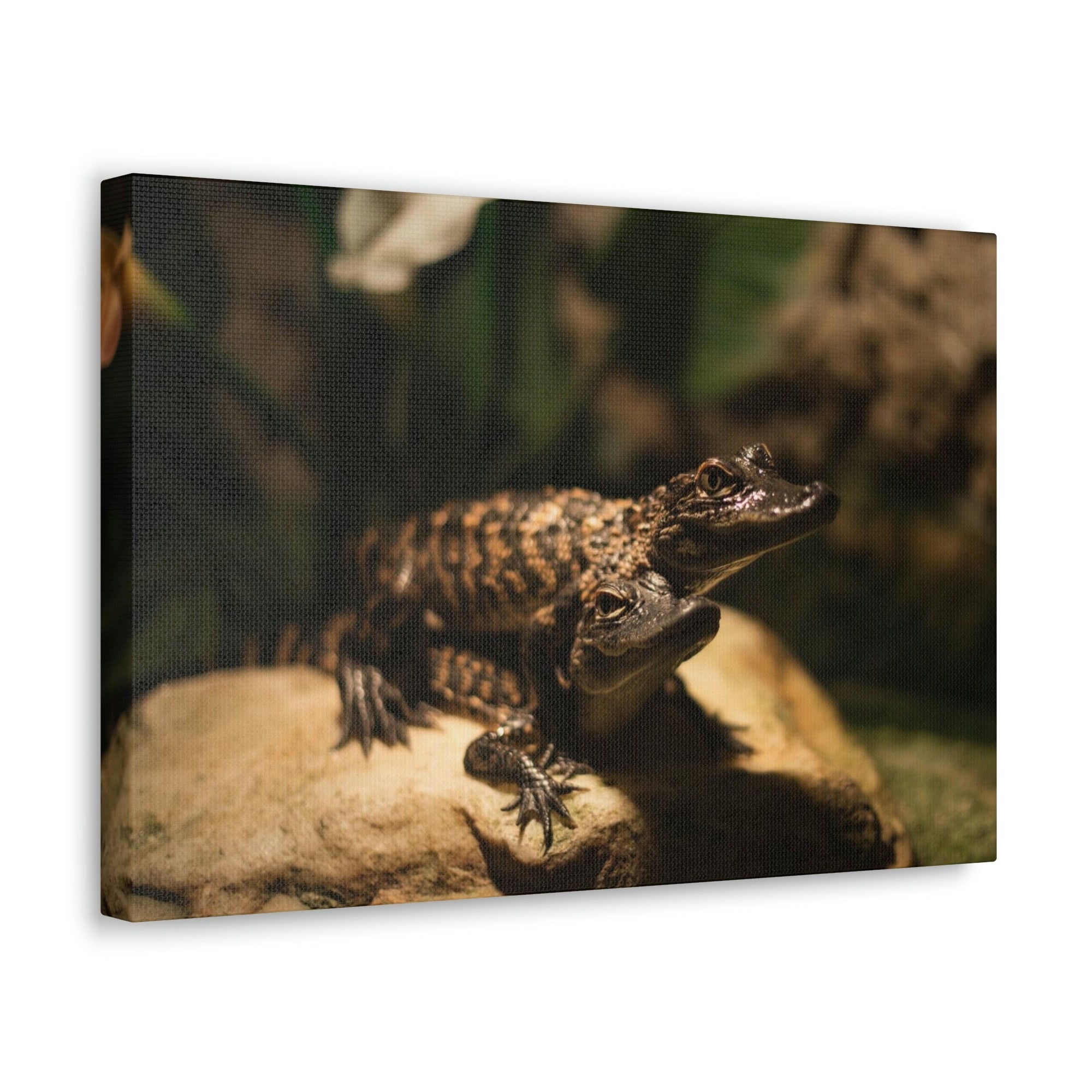 Scripture Walls Alligator Couple Alligator Troop Print Animal Wall Art Wildlife Canvas Prints Wall Art Ready to Hang Unframed-Express Your Love Gifts