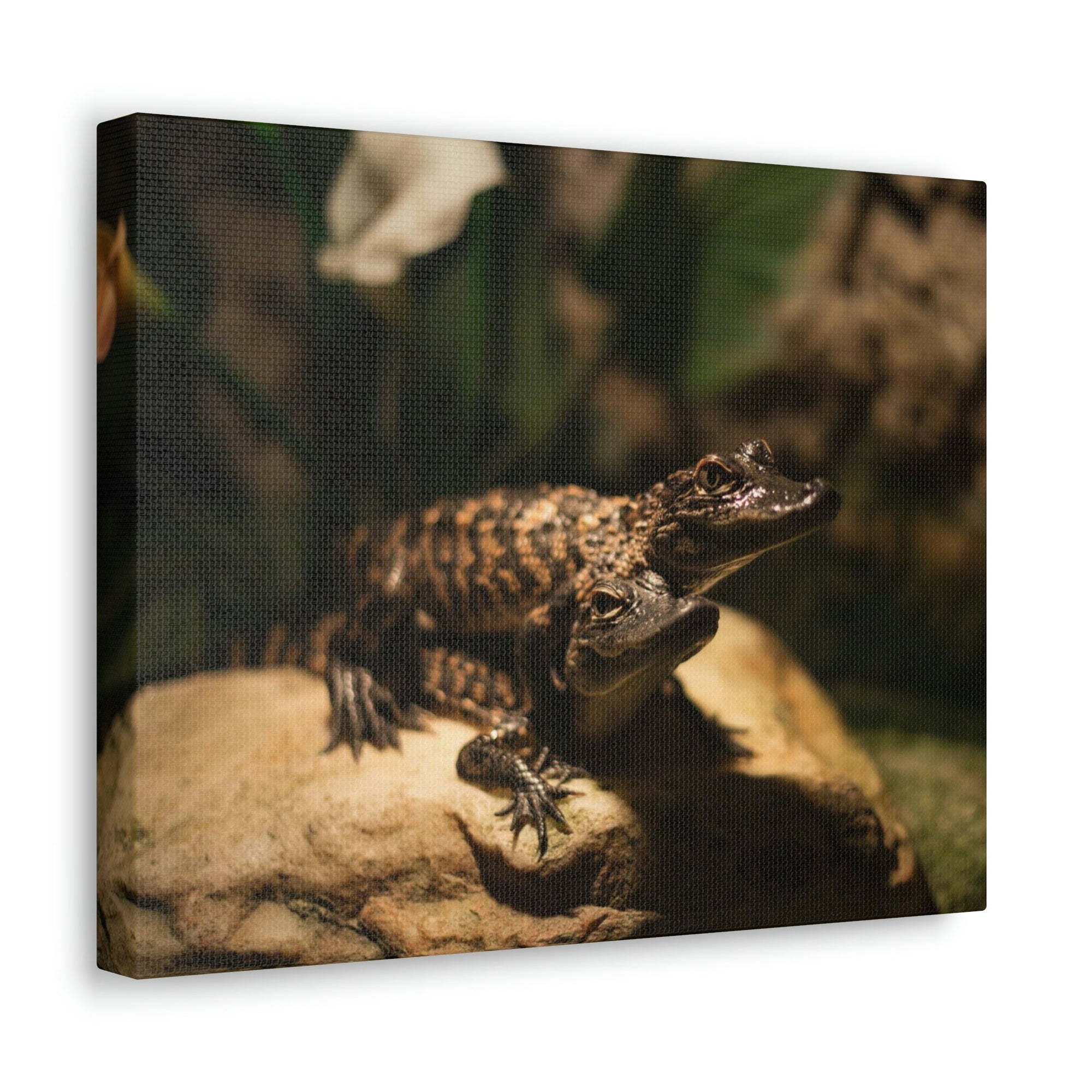 Scripture Walls Alligator Couple Alligator Troop Print Animal Wall Art Wildlife Canvas Prints Wall Art Ready to Hang Unframed-Express Your Love Gifts