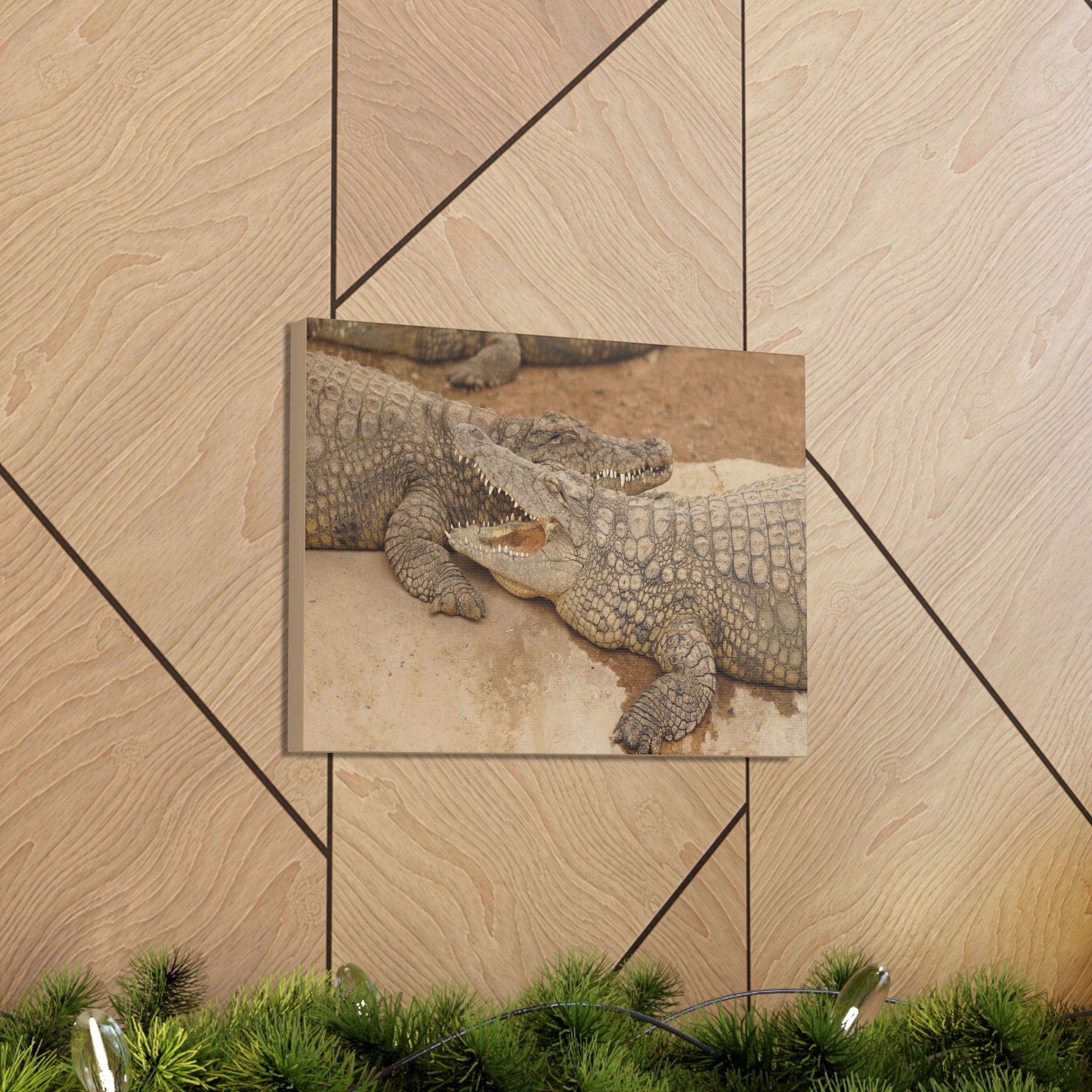 Alligator Couple Canvas Gallery Wraps Unframed-Express Your Love Gifts