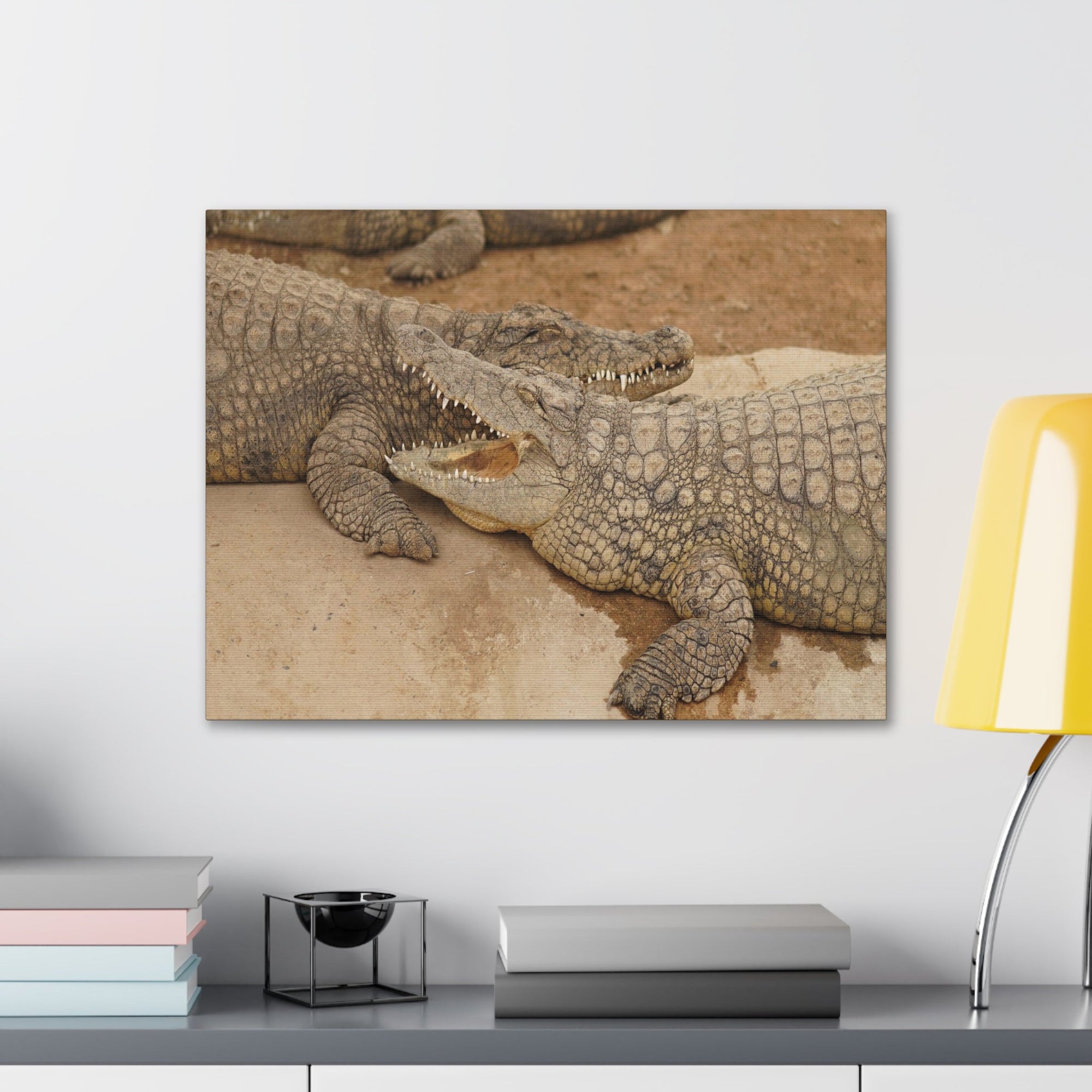 Alligator Couple Canvas Gallery Wraps Unframed-Express Your Love Gifts