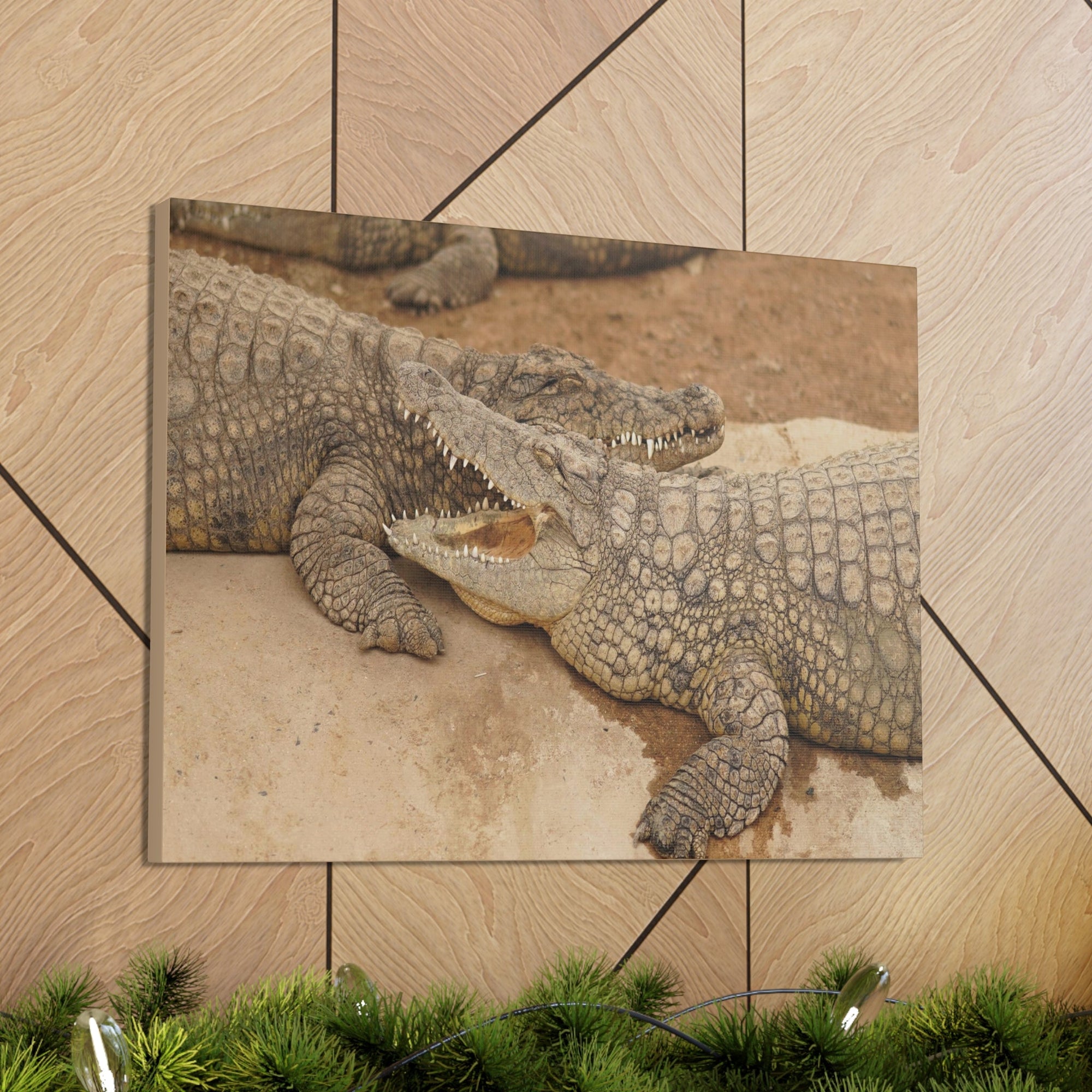 Alligator Couple Canvas Gallery Wraps Unframed-Express Your Love Gifts