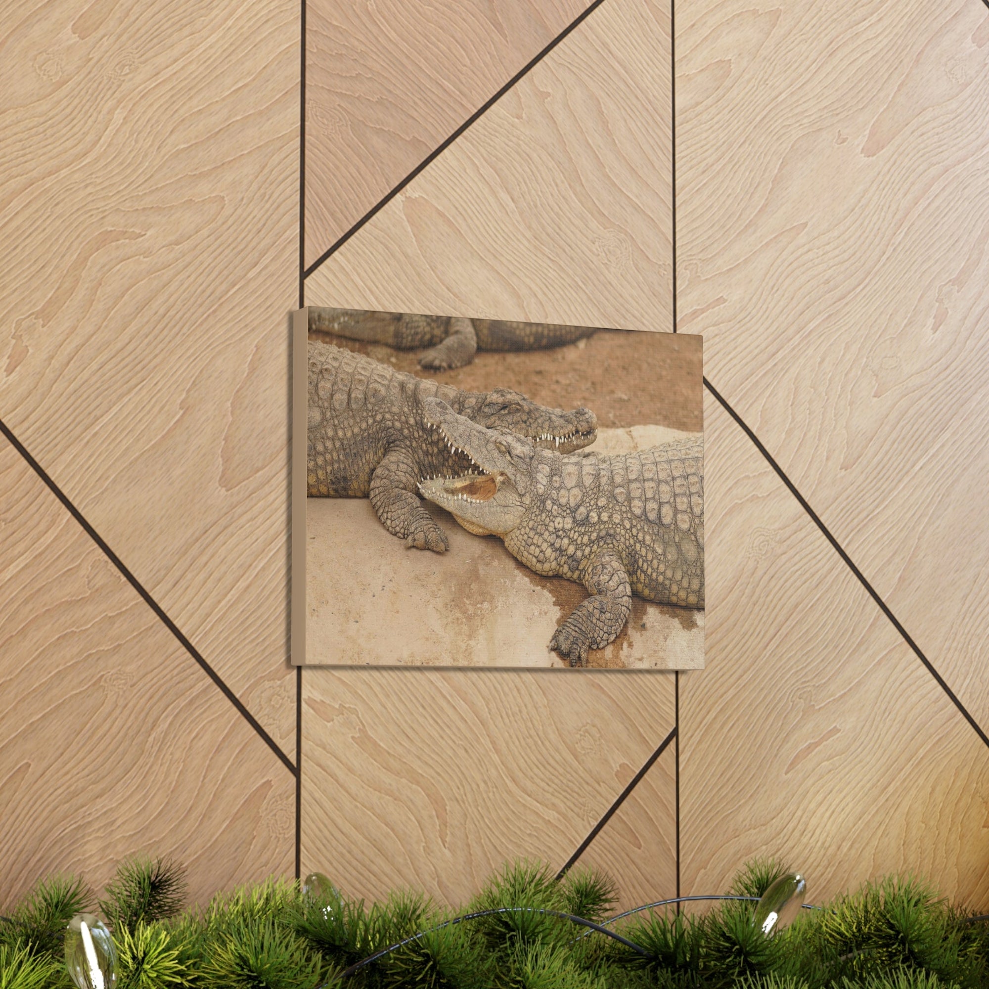 Alligator Couple Canvas Gallery Wraps Unframed-Express Your Love Gifts