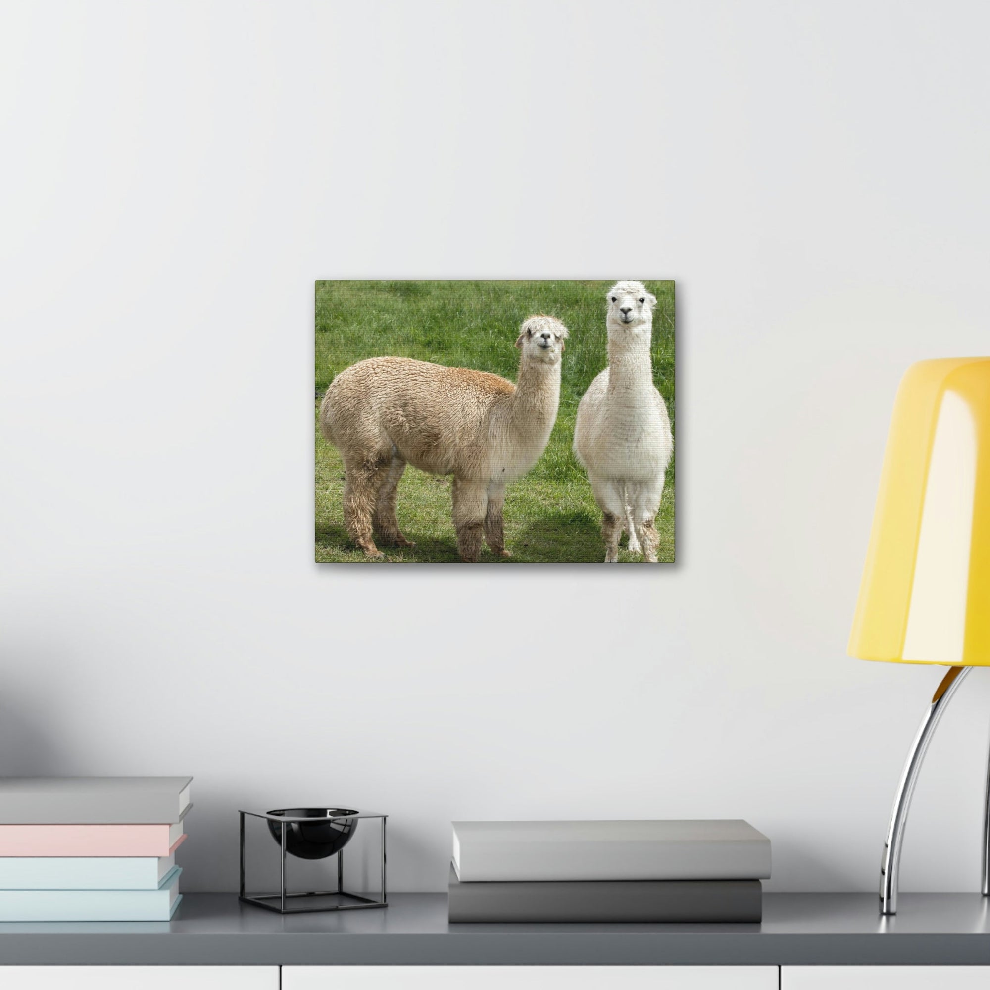 Scripture Walls Alpaca Couple Alpaca Troop Print Animal Wall Art Wildlife Canvas Prints Wall Art Ready to Hang Unframed-Express Your Love Gifts