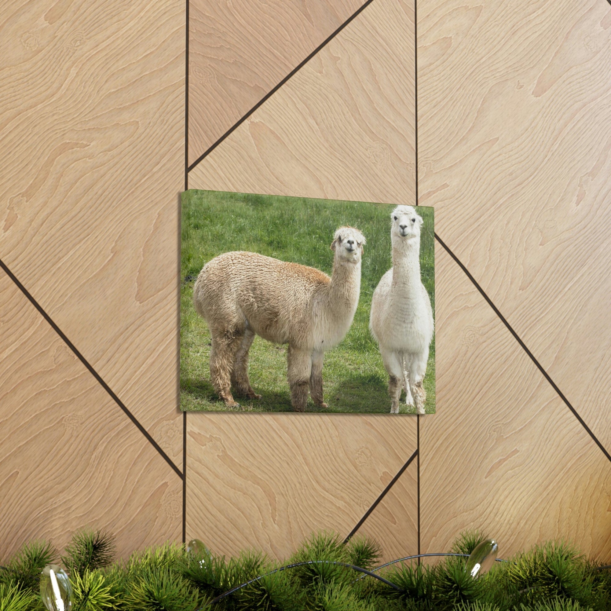 Scripture Walls Alpaca Couple Alpaca Troop Print Animal Wall Art Wildlife Canvas Prints Wall Art Ready to Hang Unframed-Express Your Love Gifts