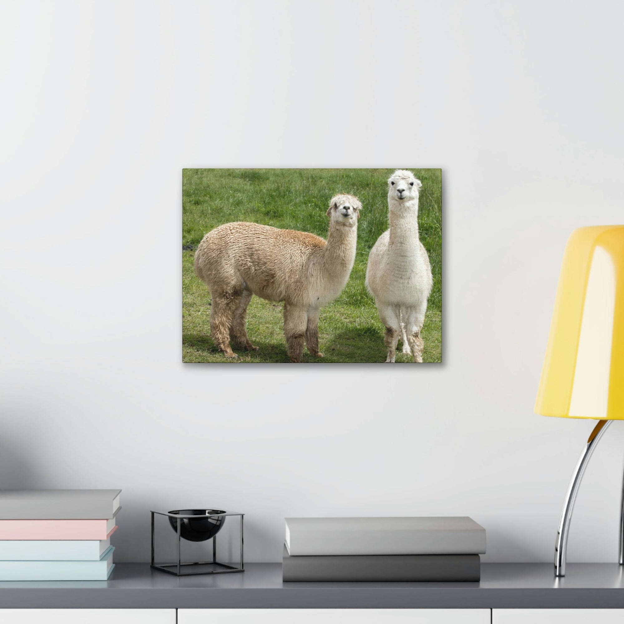 Scripture Walls Alpaca Couple Alpaca Troop Print Animal Wall Art Wildlife Canvas Prints Wall Art Ready to Hang Unframed-Express Your Love Gifts