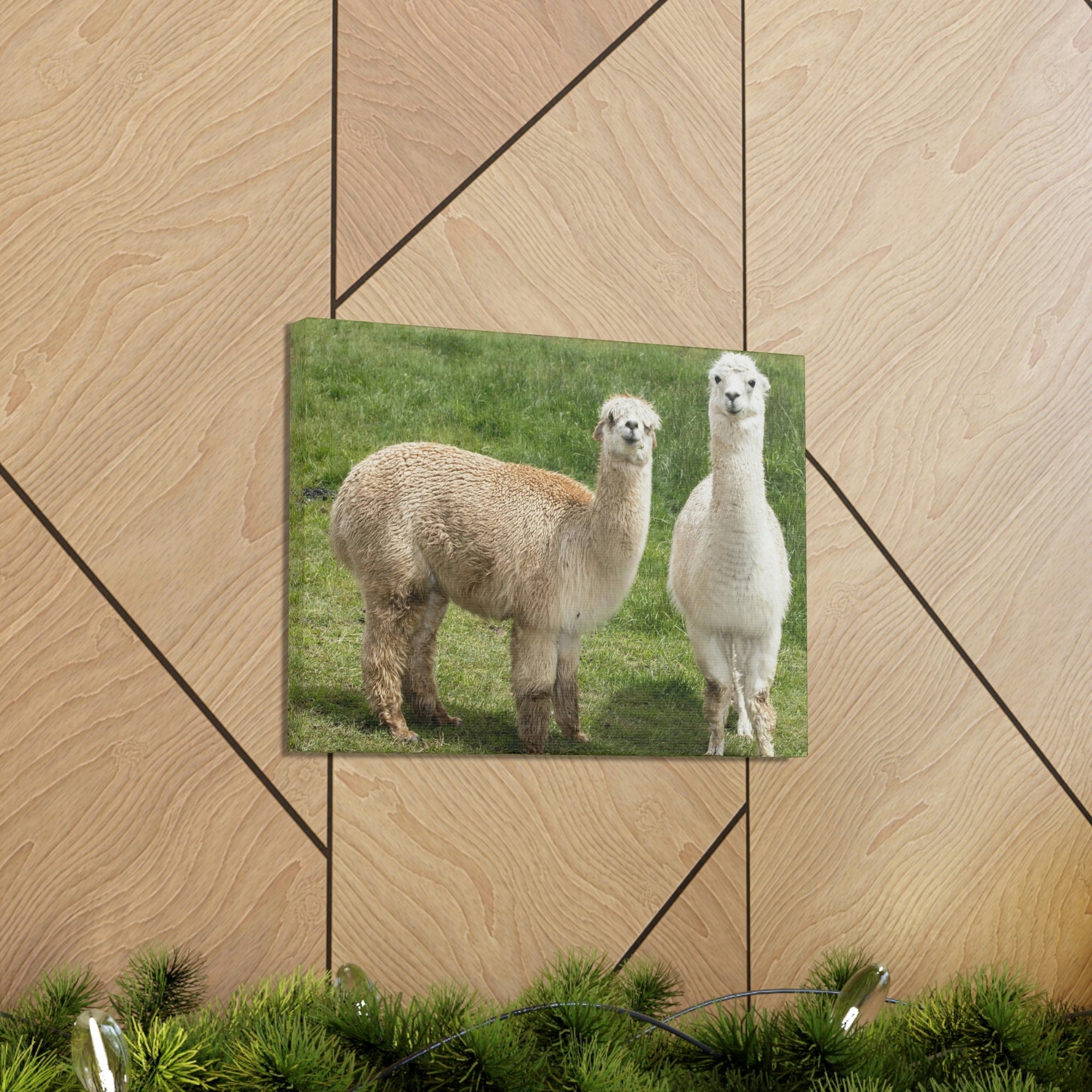 Scripture Walls Alpaca Couple Alpaca Troop Print Animal Wall Art Wildlife Canvas Prints Wall Art Ready to Hang Unframed-Express Your Love Gifts