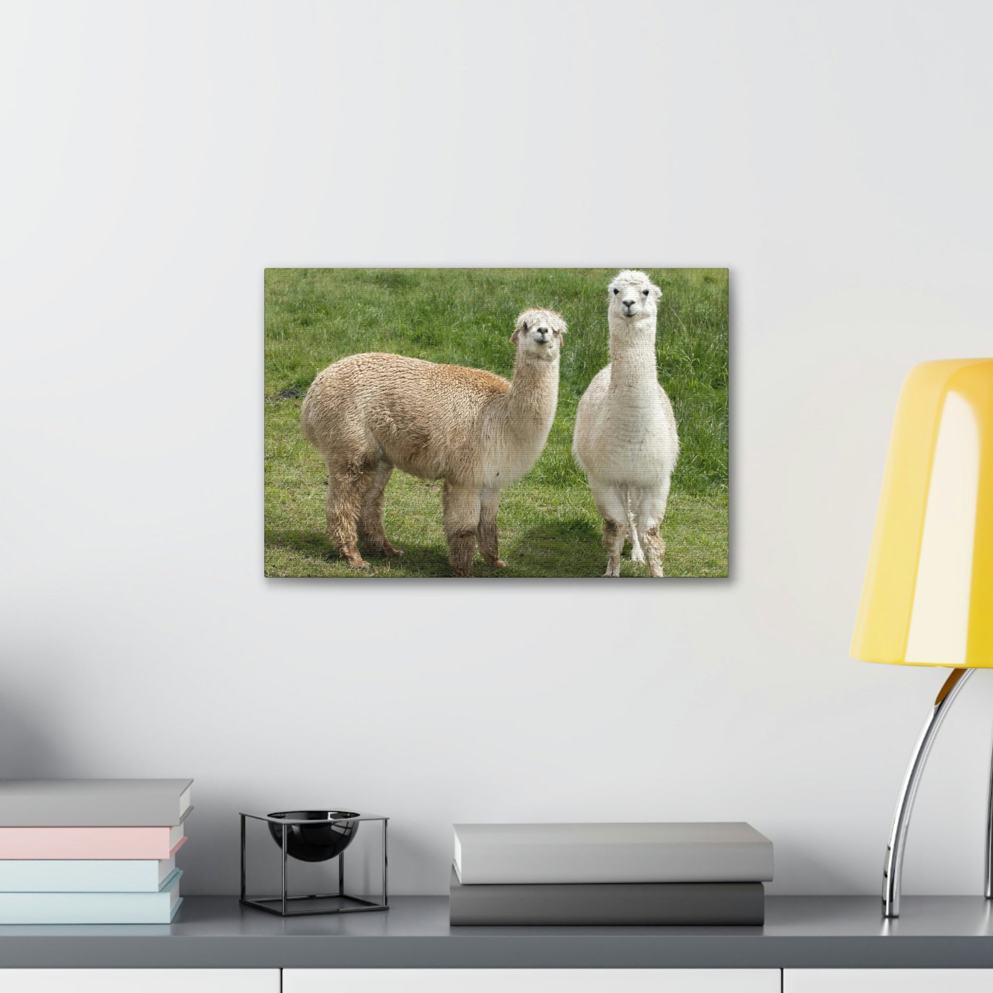 Scripture Walls Alpaca Couple Alpaca Troop Print Animal Wall Art Wildlife Canvas Prints Wall Art Ready to Hang Unframed-Express Your Love Gifts