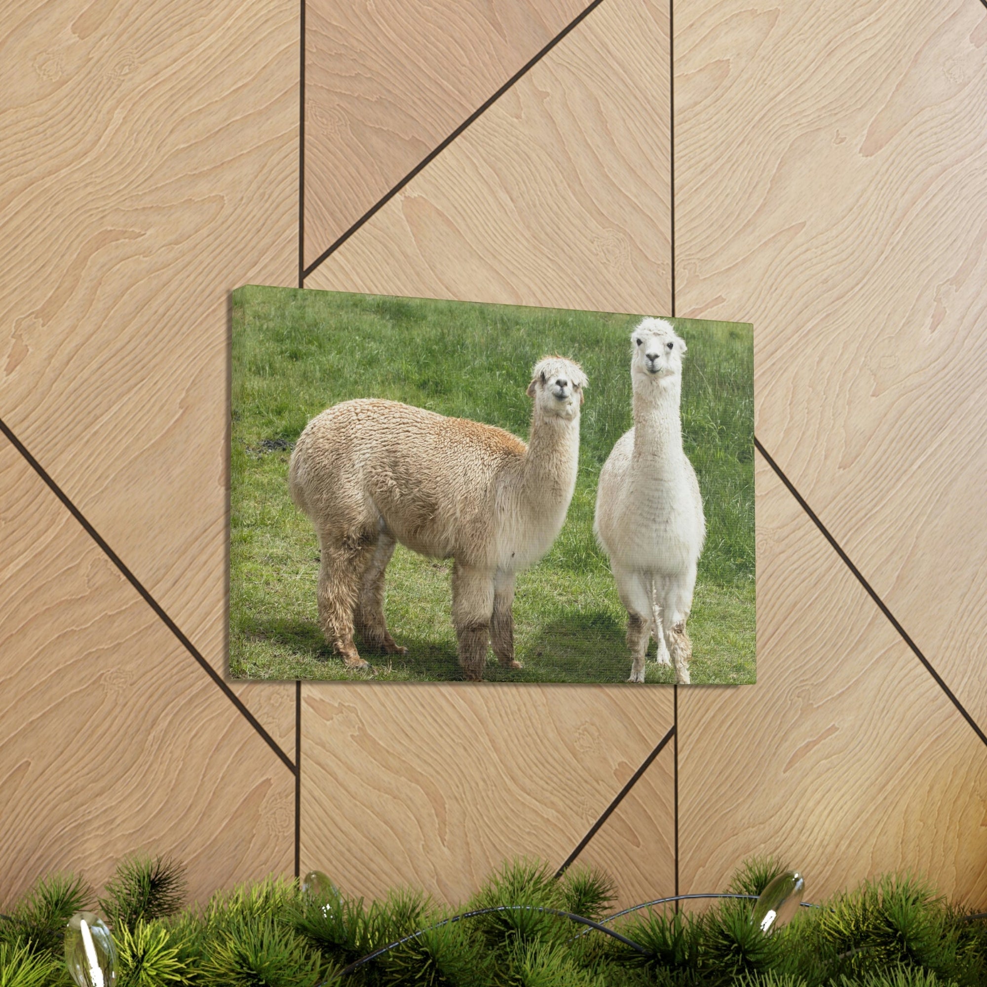 Scripture Walls Alpaca Couple Alpaca Troop Print Animal Wall Art Wildlife Canvas Prints Wall Art Ready to Hang Unframed-Express Your Love Gifts