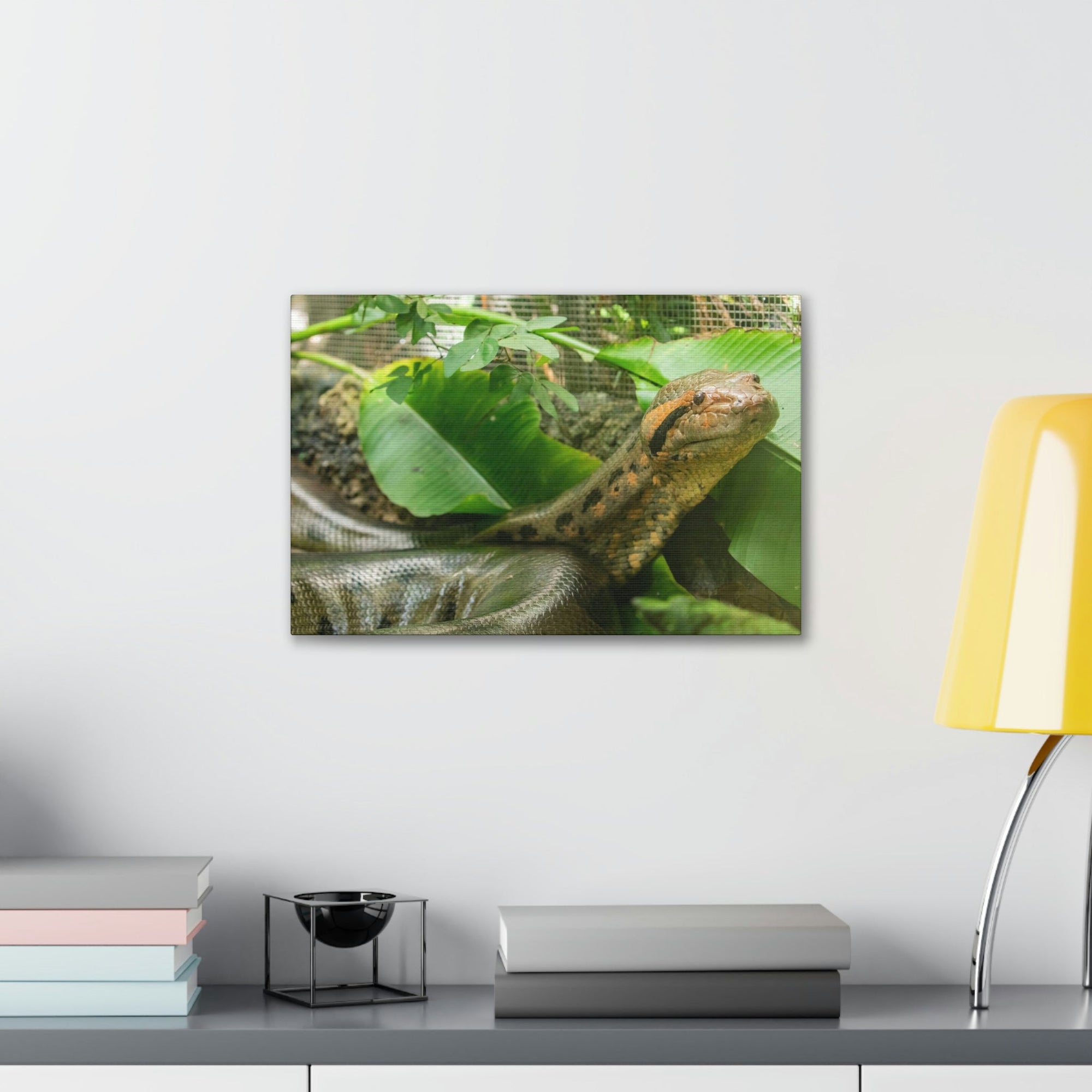 Anaconda Close Up Look Scary Anaconda Outside Wall Art Ready To Hang Unframed-Express Your Love Gifts