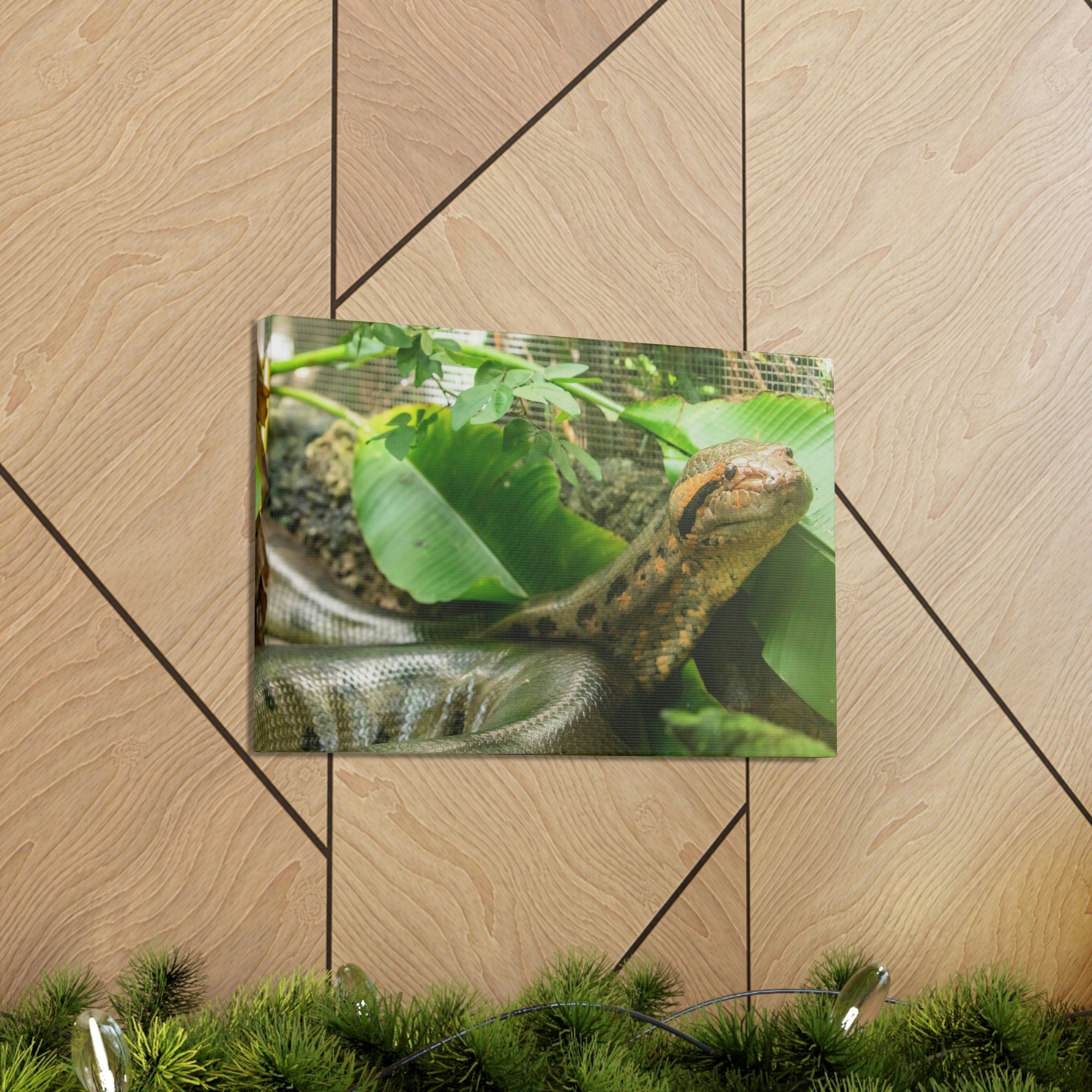 Anaconda Close Up Look Scary Anaconda Outside Wall Art Ready To Hang Unframed-Express Your Love Gifts