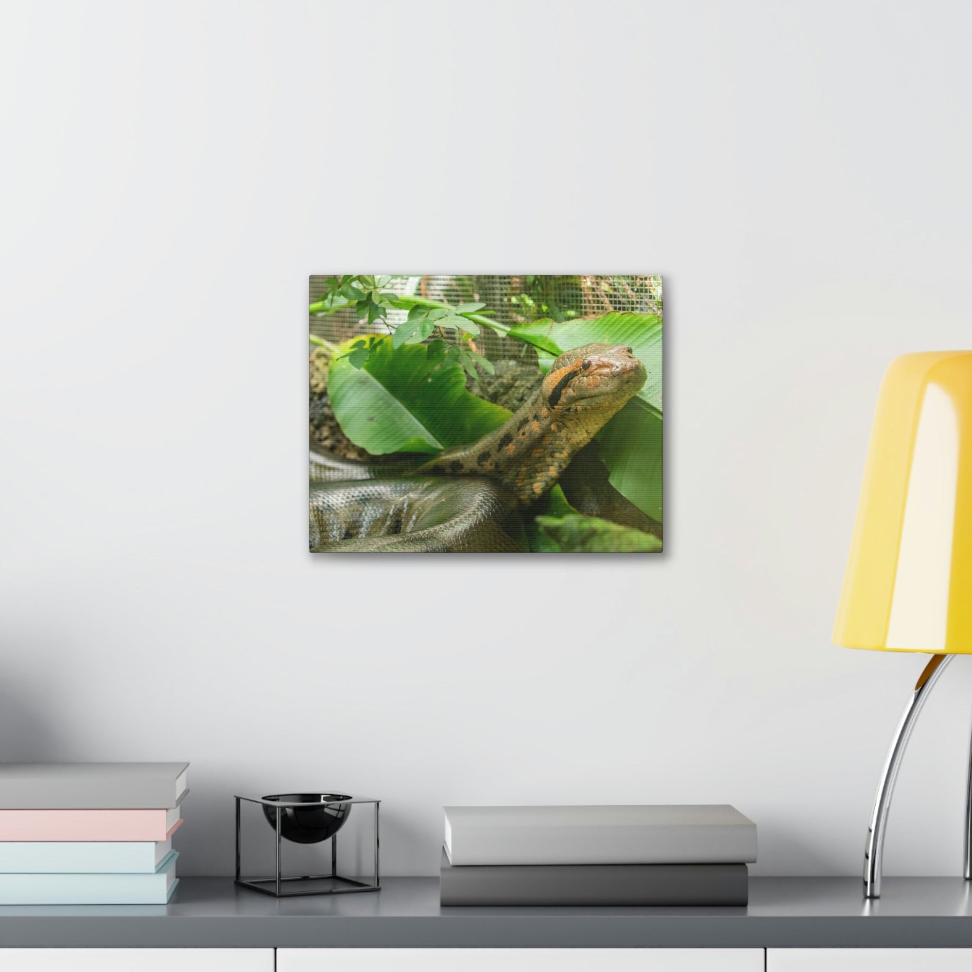 Anaconda Close Up Look Scary Anaconda Outside Wall Art Ready To Hang Unframed-Express Your Love Gifts