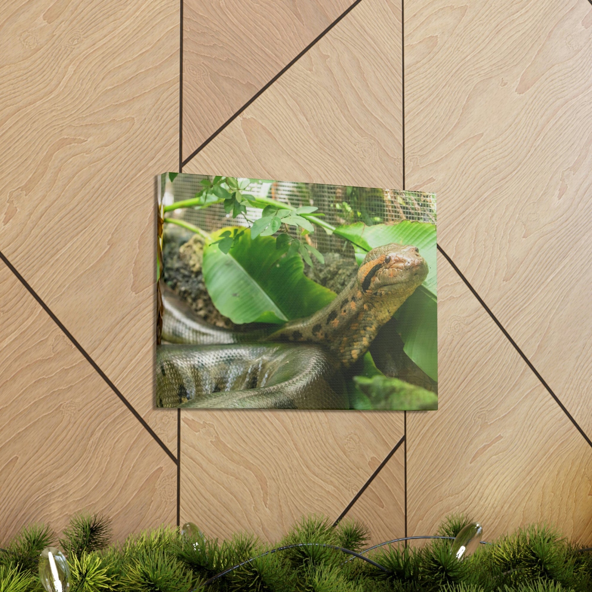 Anaconda Close Up Look Scary Anaconda Outside Wall Art Ready To Hang Unframed-Express Your Love Gifts