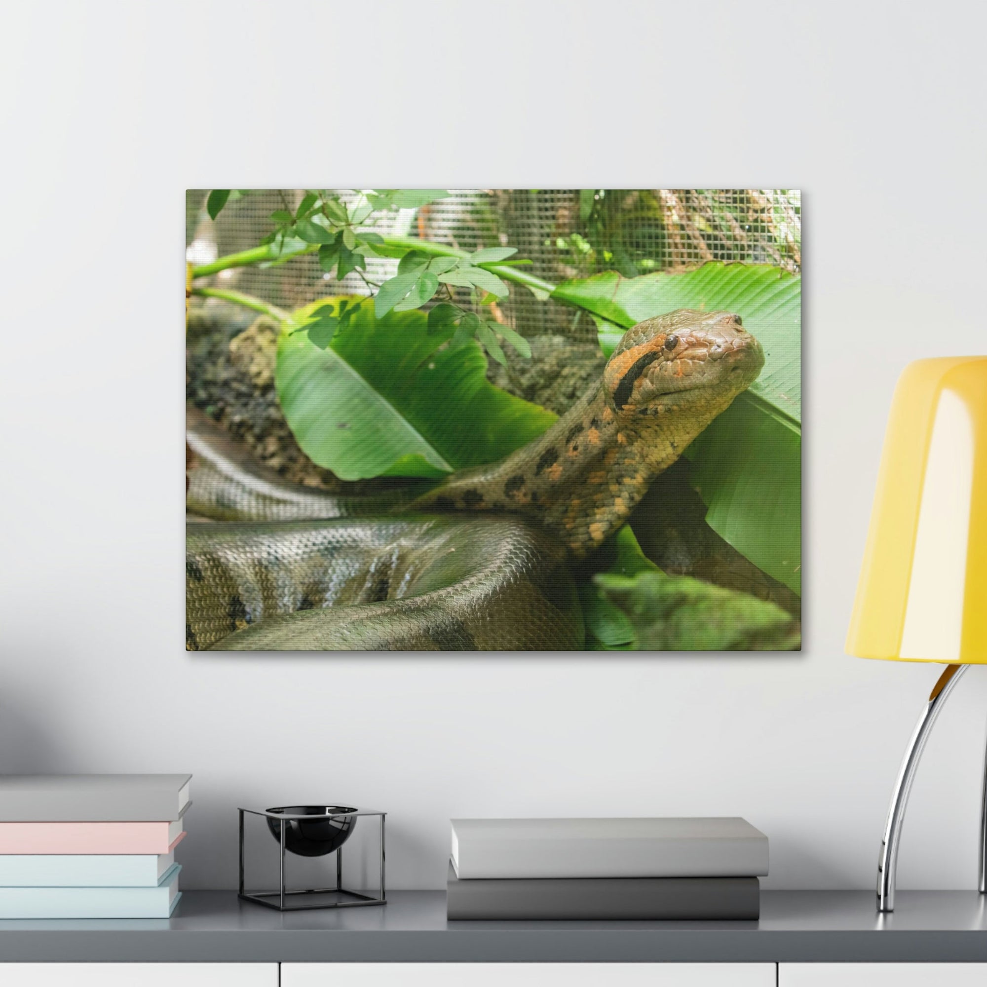 Anaconda Close Up Look Scary Anaconda Outside Wall Art Ready To Hang Unframed-Express Your Love Gifts