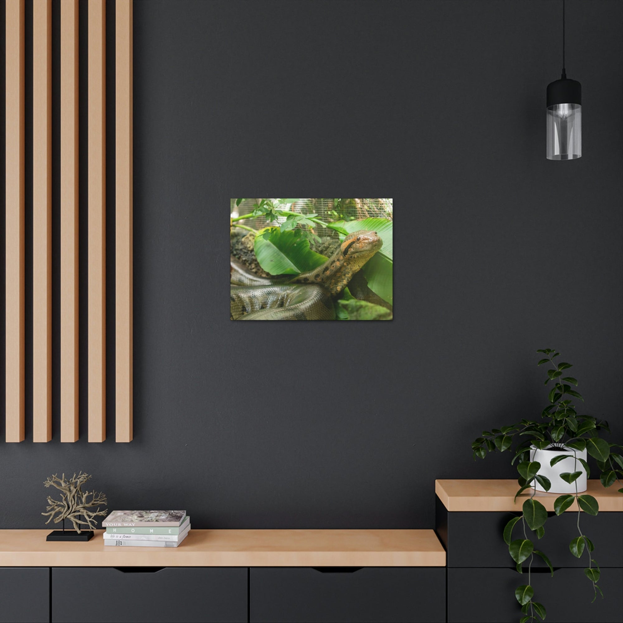 Anaconda Close Up Look Scary Anaconda Outside Wall Art Ready To Hang Unframed-Express Your Love Gifts