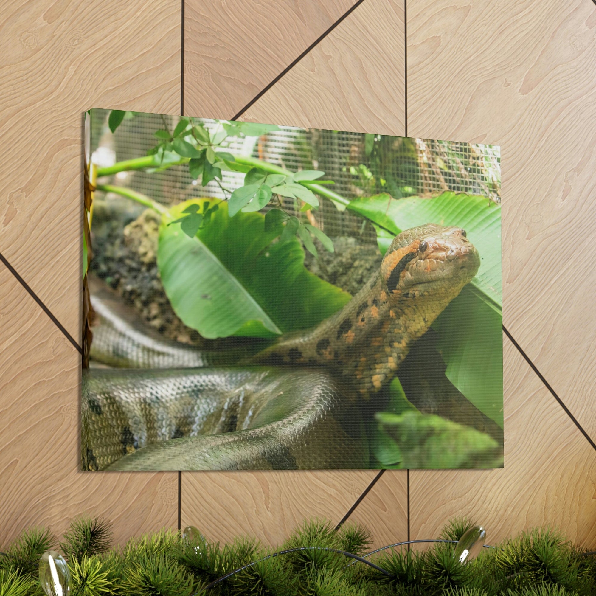 Anaconda Close Up Look Scary Anaconda Outside Wall Art Ready To Hang Unframed-Express Your Love Gifts