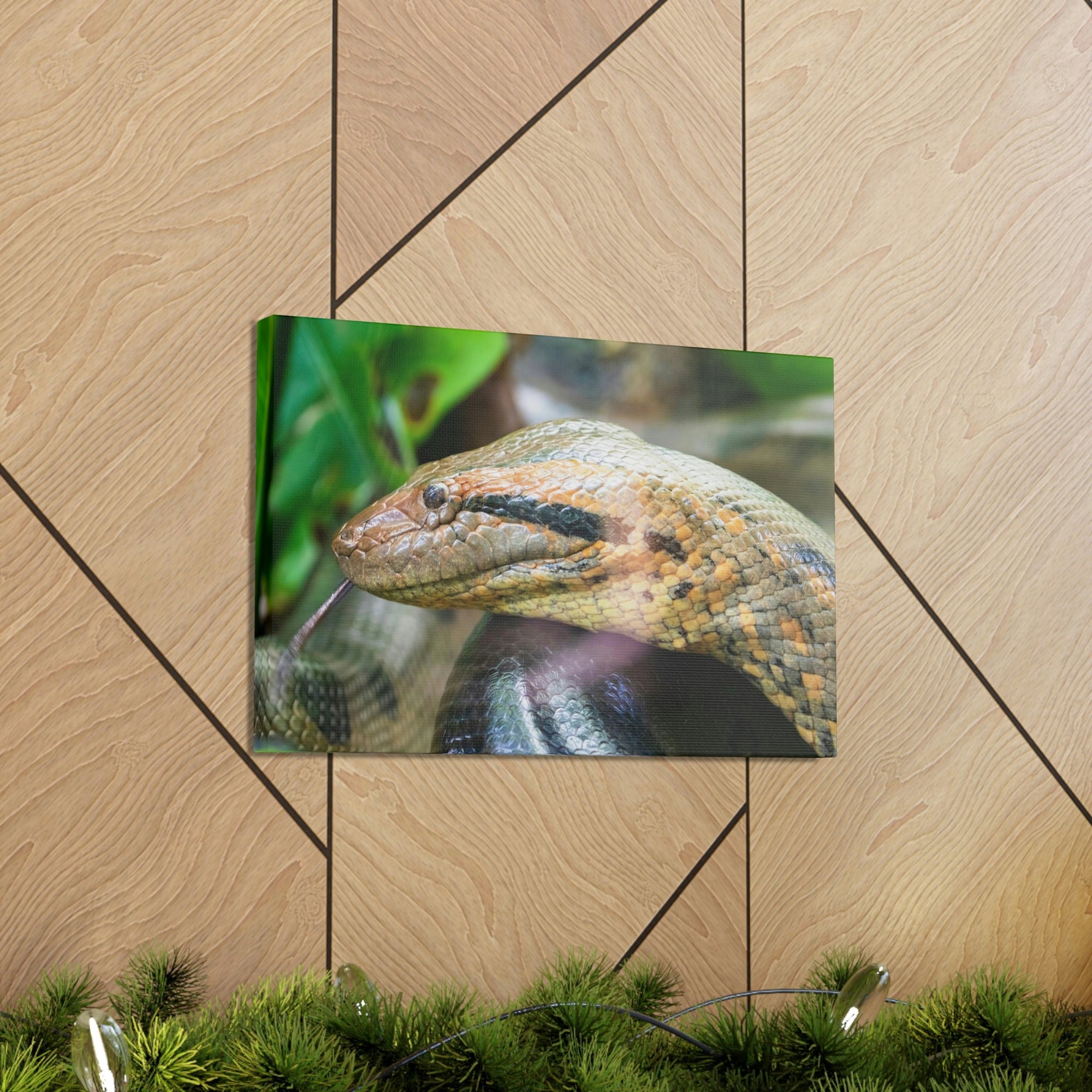 Anaconda Front Side View Anaconda Dangerous Outside Wall Art Ready To Hang Unframed-Express Your Love Gifts