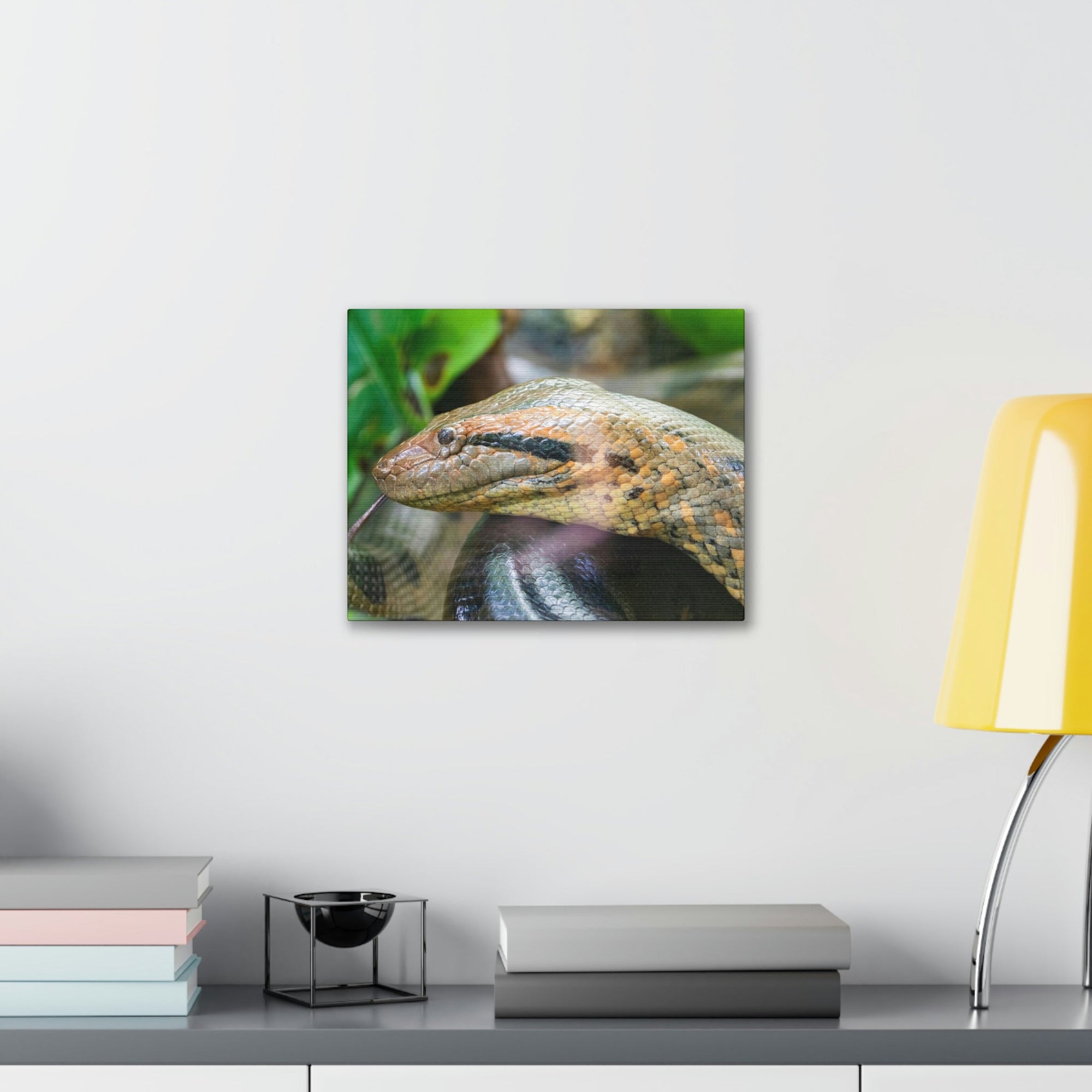 Anaconda Front Side View Anaconda Dangerous Outside Wall Art Ready To Hang Unframed-Express Your Love Gifts