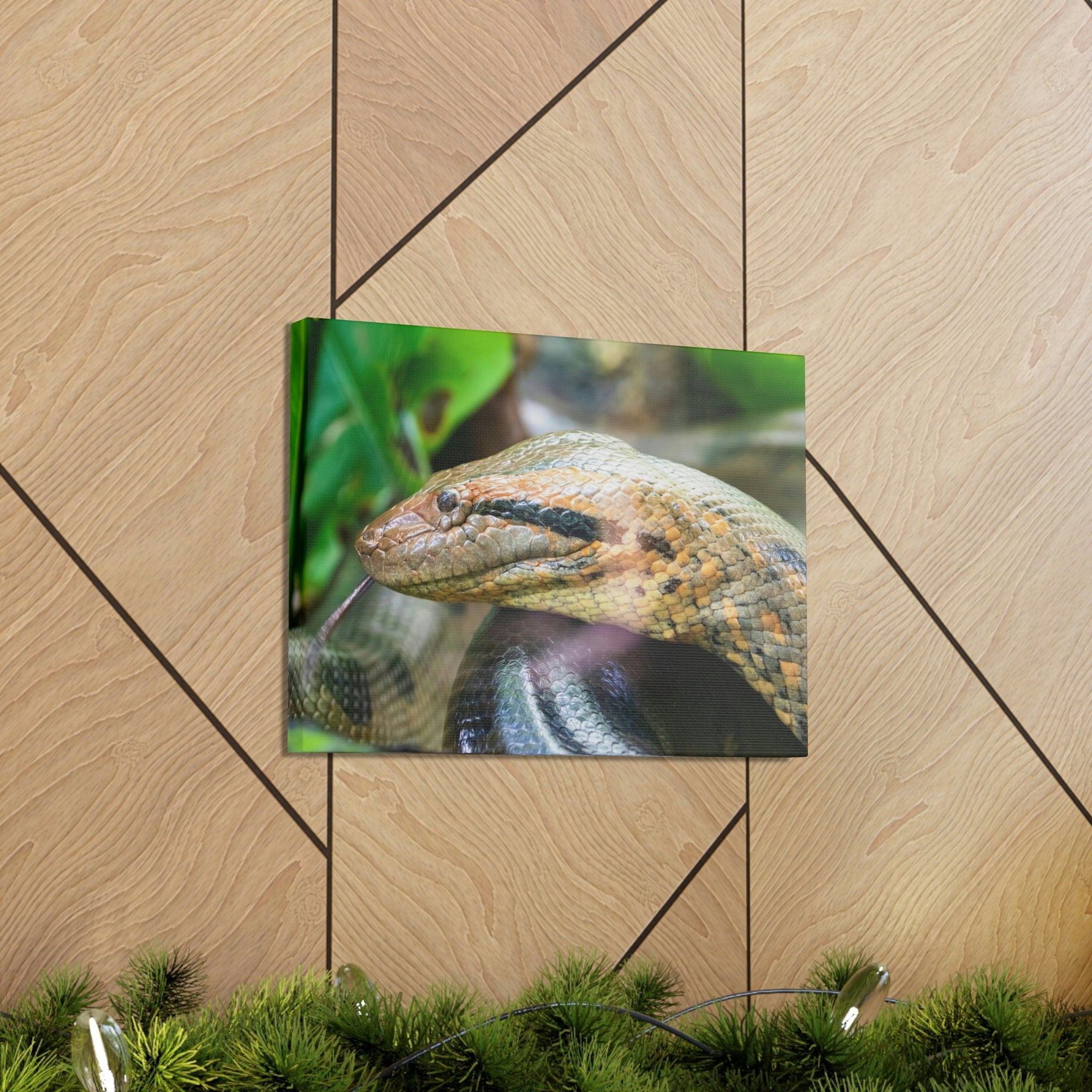 Anaconda Front Side View Anaconda Dangerous Outside Wall Art Ready To Hang Unframed-Express Your Love Gifts