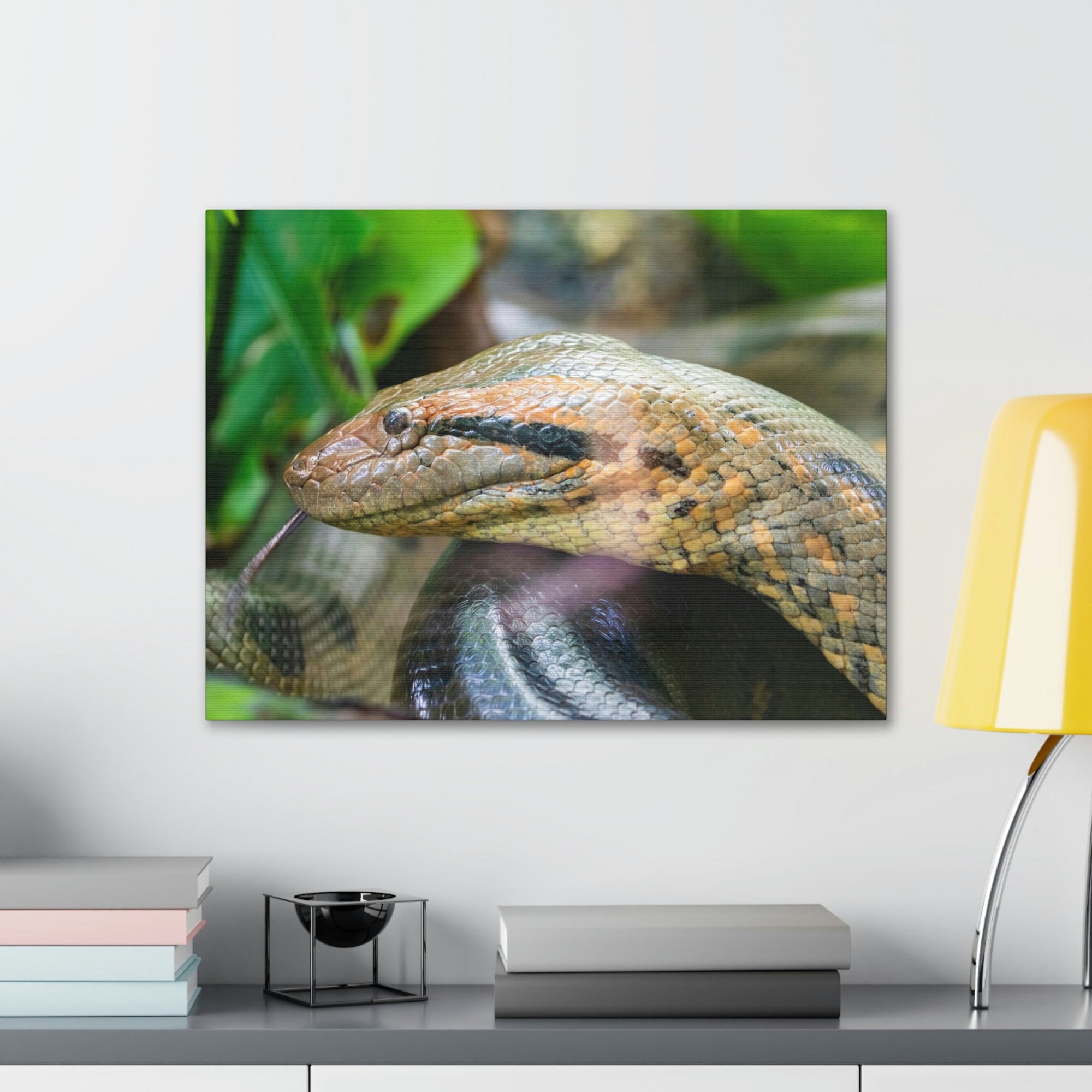 Anaconda Front Side View Anaconda Dangerous Outside Wall Art Ready To Hang Unframed-Express Your Love Gifts