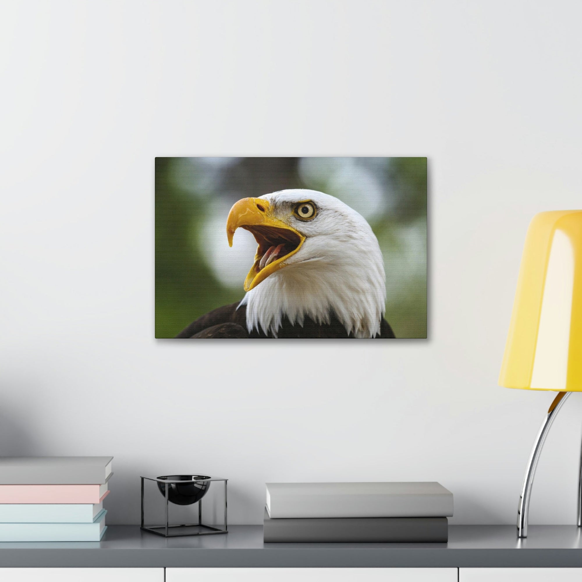 Scripture Walls Angry Bald Eagle Print Animal Wall Art Wildlife Canvas Prints Wall Art Ready to Hang Unframed-Express Your Love Gifts