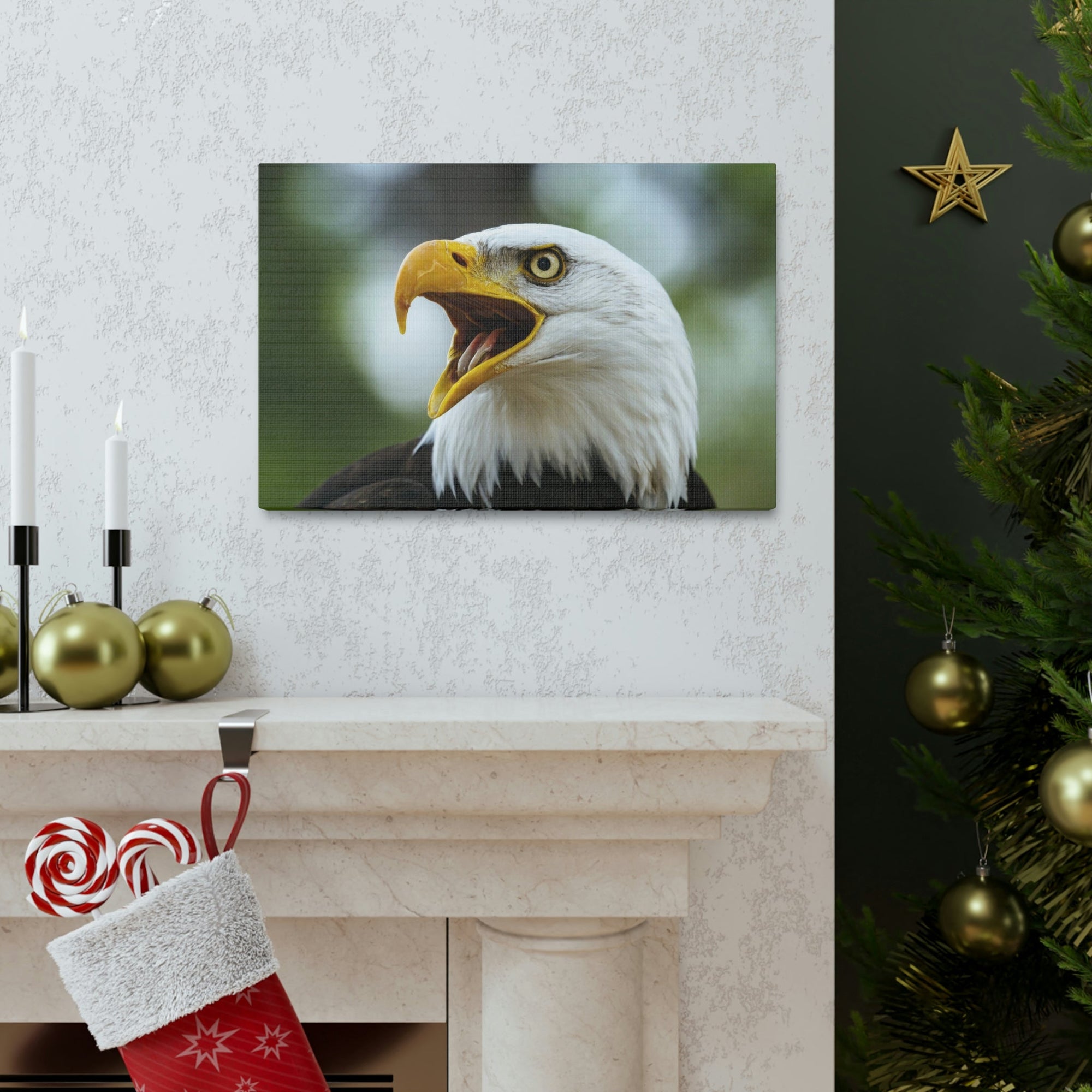 Scripture Walls Angry Bald Eagle Print Animal Wall Art Wildlife Canvas Prints Wall Art Ready to Hang Unframed-Express Your Love Gifts