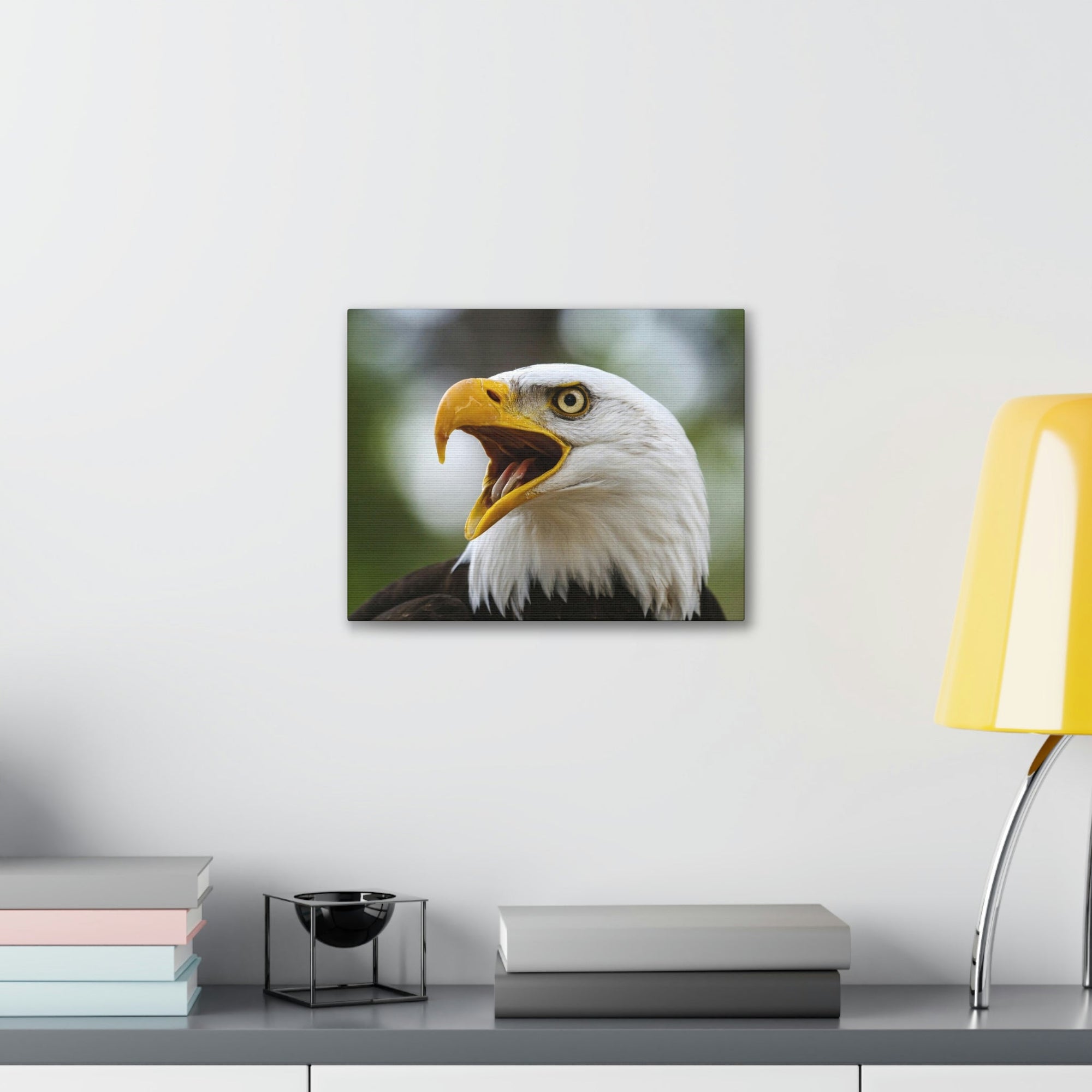 Scripture Walls Angry Bald Eagle Print Animal Wall Art Wildlife Canvas Prints Wall Art Ready to Hang Unframed-Express Your Love Gifts