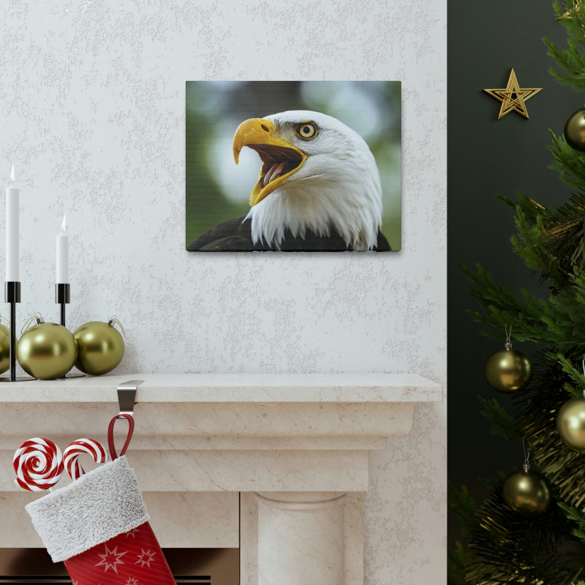 Scripture Walls Angry Bald Eagle Print Animal Wall Art Wildlife Canvas Prints Wall Art Ready to Hang Unframed-Express Your Love Gifts