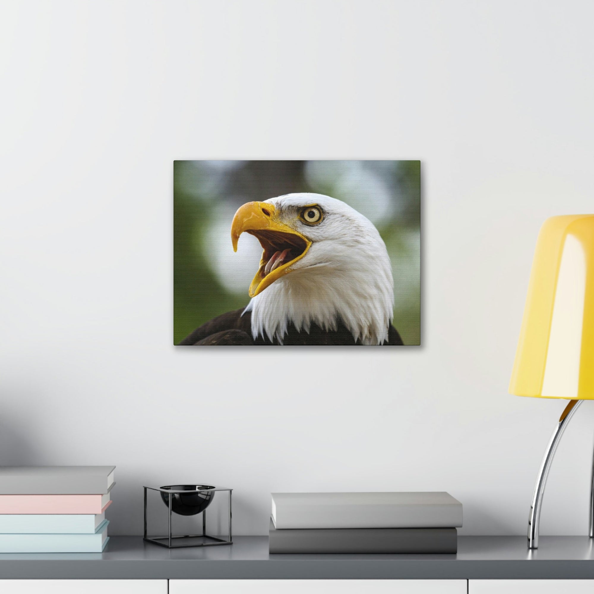 Scripture Walls Angry Bald Eagle Print Animal Wall Art Wildlife Canvas Prints Wall Art Ready to Hang Unframed-Express Your Love Gifts