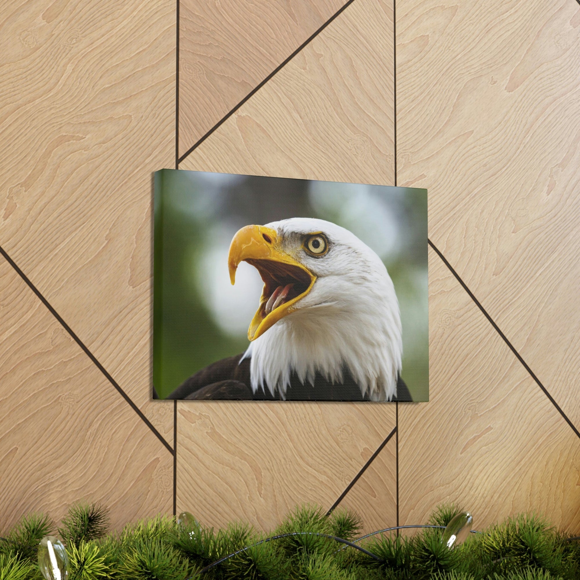 Scripture Walls Angry Bald Eagle Print Animal Wall Art Wildlife Canvas Prints Wall Art Ready to Hang Unframed-Express Your Love Gifts