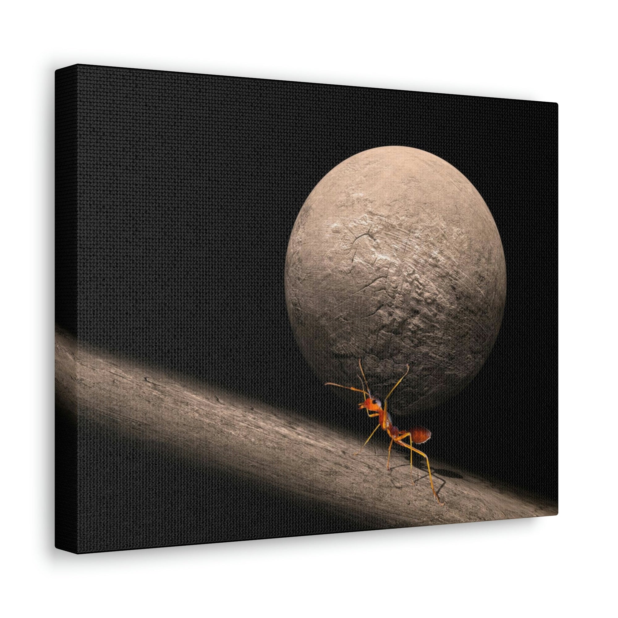 Ant Trying To Carry Huge Stone Ant Carrying Wall Art Ready To Hang Unframed-Express Your Love Gifts