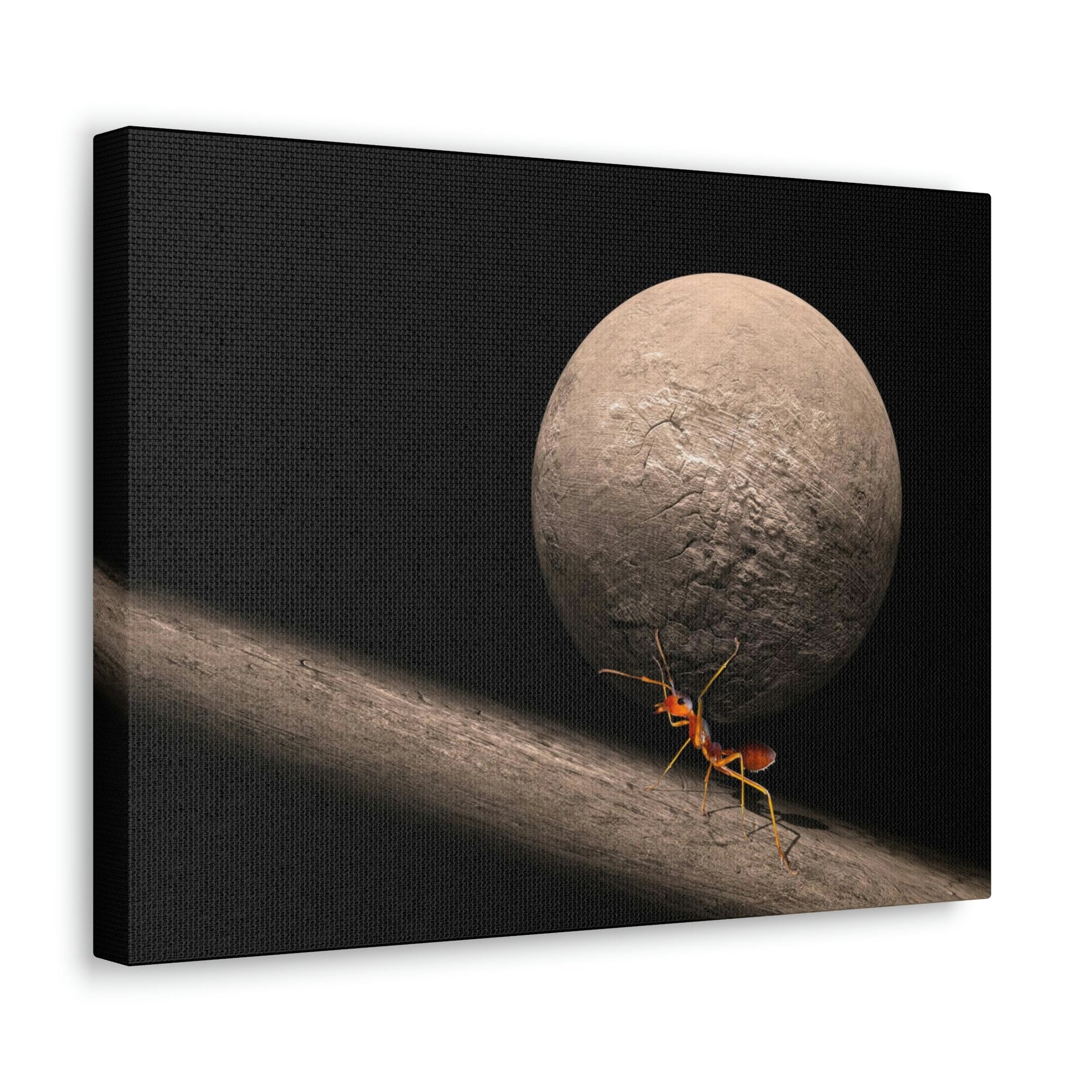 Ant Trying To Carry Huge Stone Ant Carrying Wall Art Ready To Hang Unframed-Express Your Love Gifts