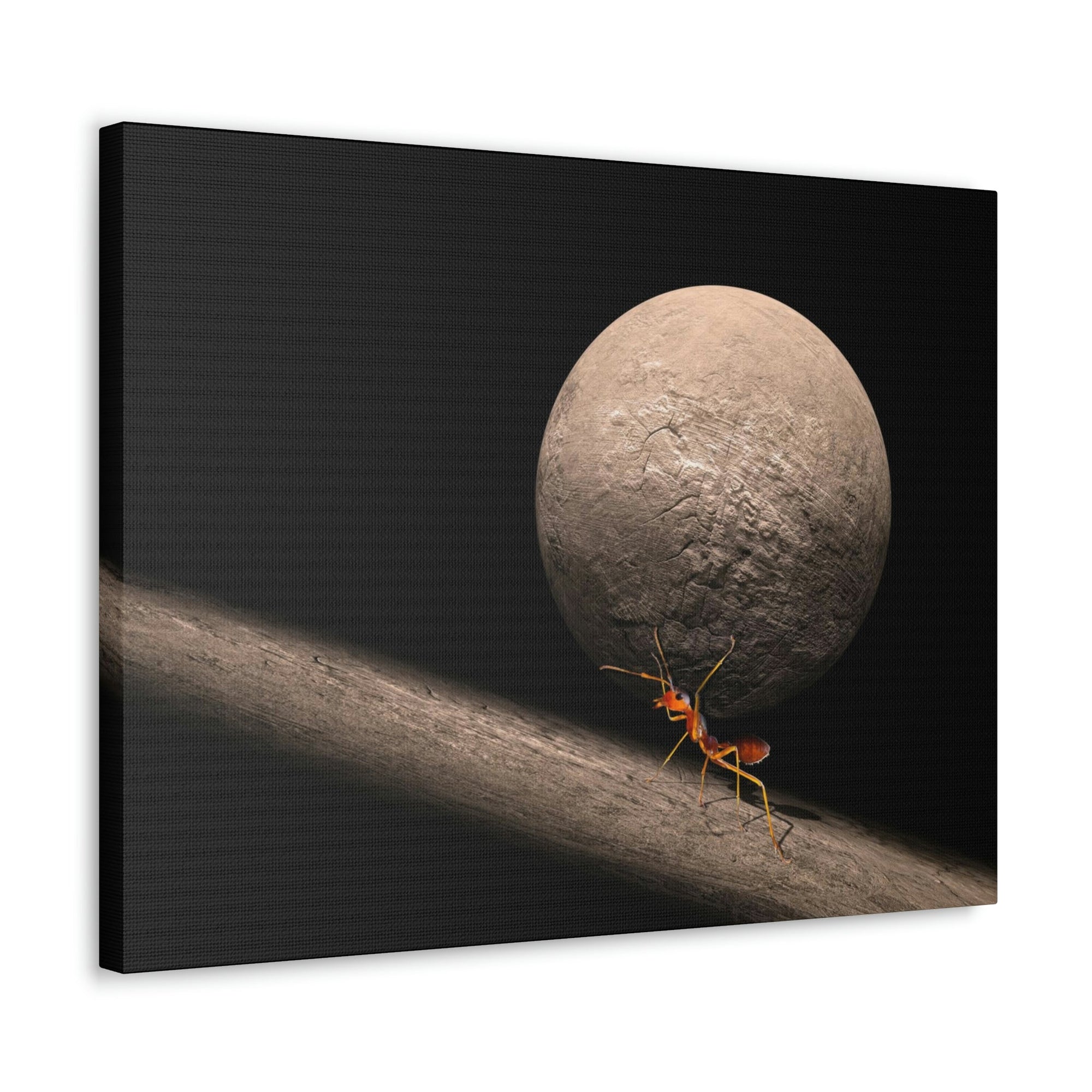 Ant Trying To Carry Huge Stone Ant Carrying Wall Art Ready To Hang Unframed-Express Your Love Gifts