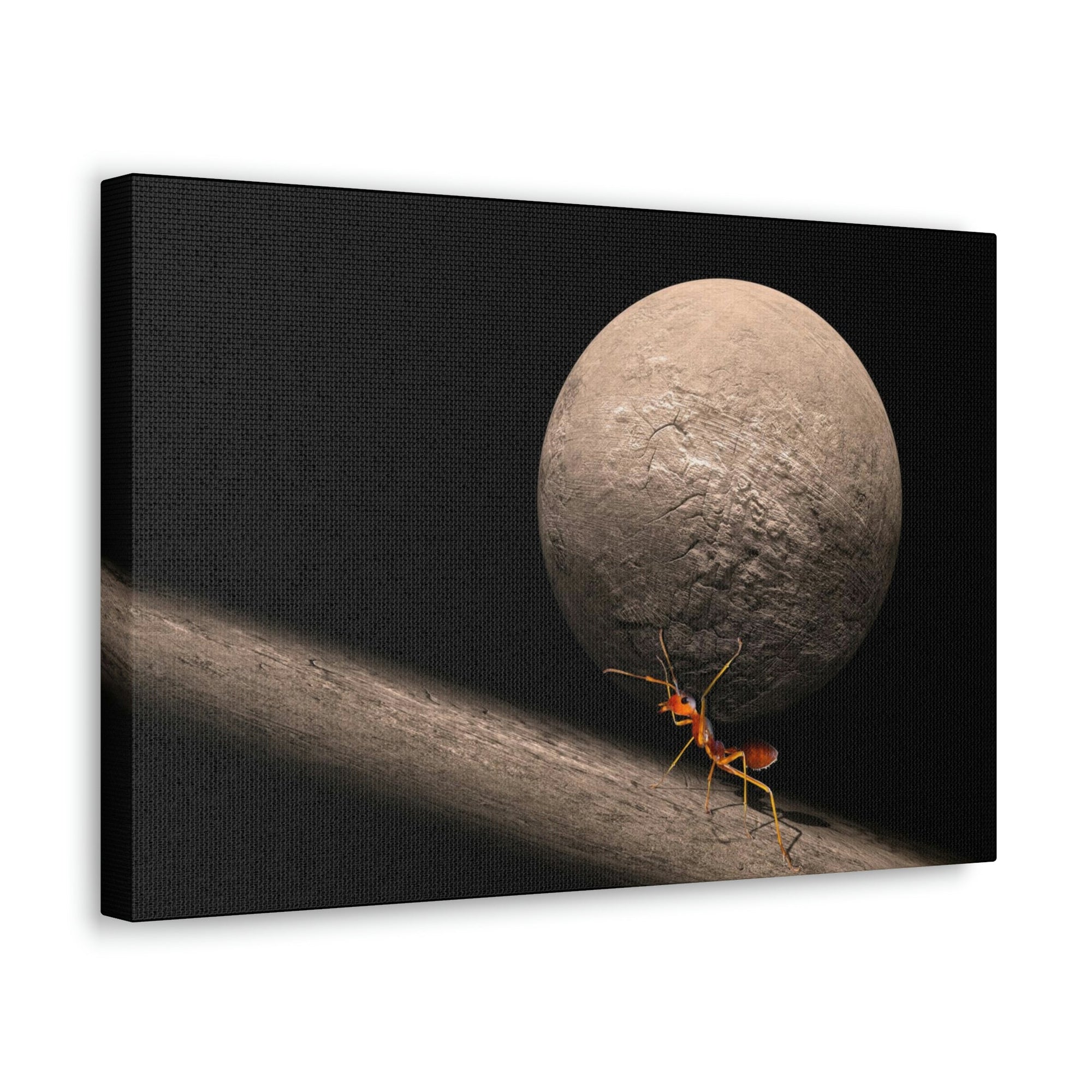 Ant Trying To Carry Huge Stone Ant Carrying Wall Art Ready To Hang Unframed-Express Your Love Gifts