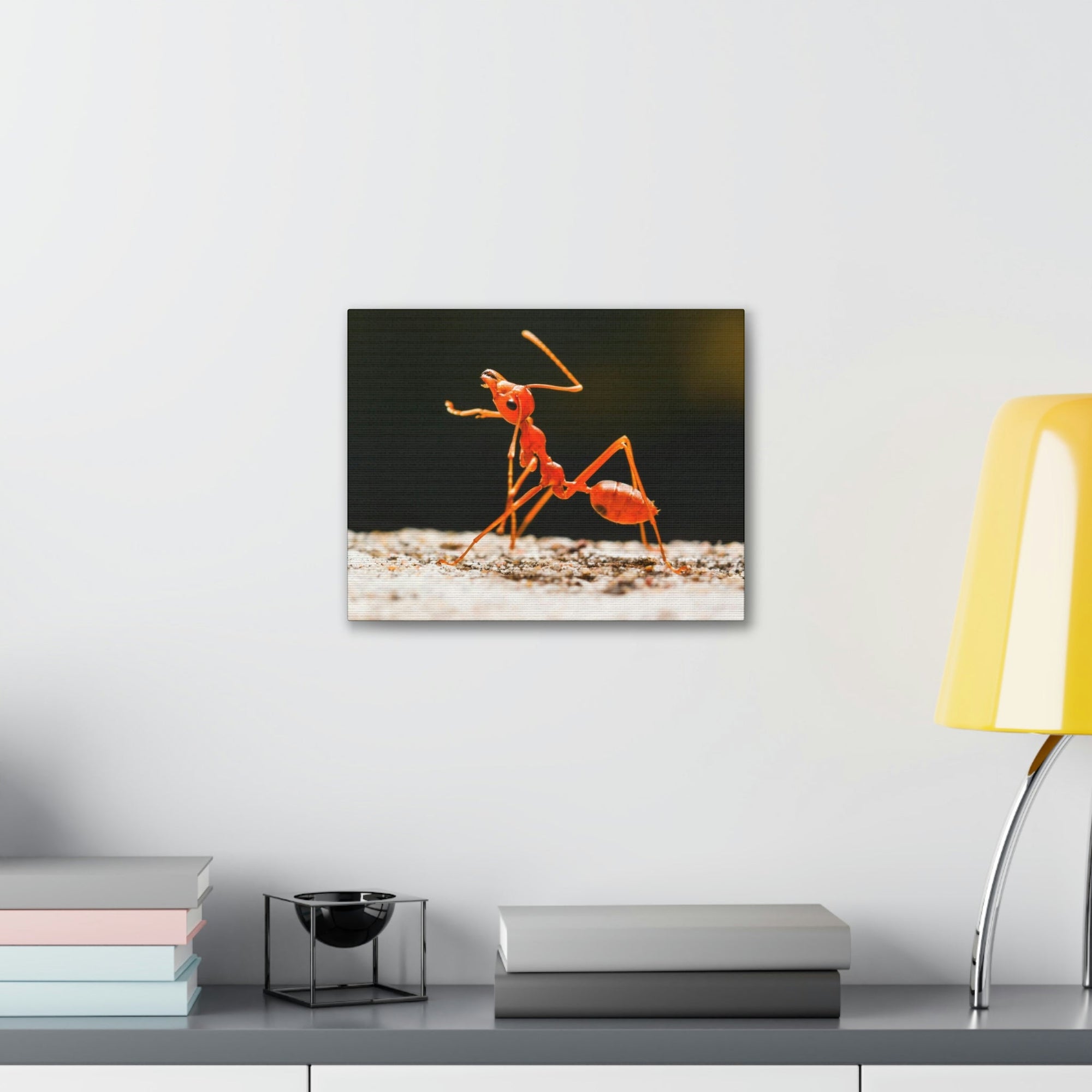 Ant Walk Real Ant Wall Art Ready To Hang Unframed-Express Your Love Gifts