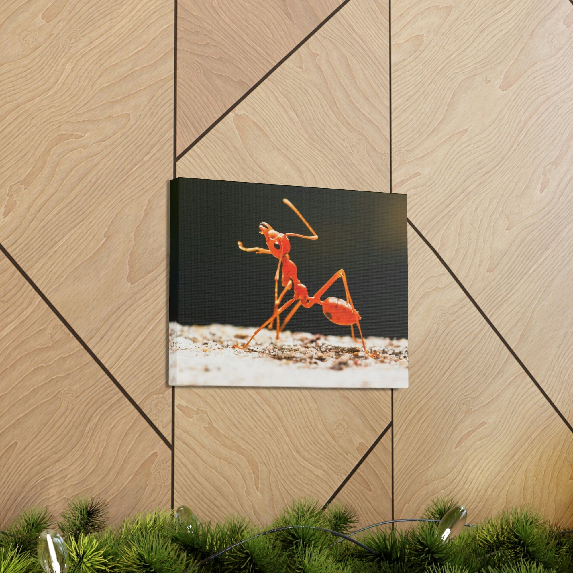 Ant Walk Real Ant Wall Art Ready To Hang Unframed-Express Your Love Gifts