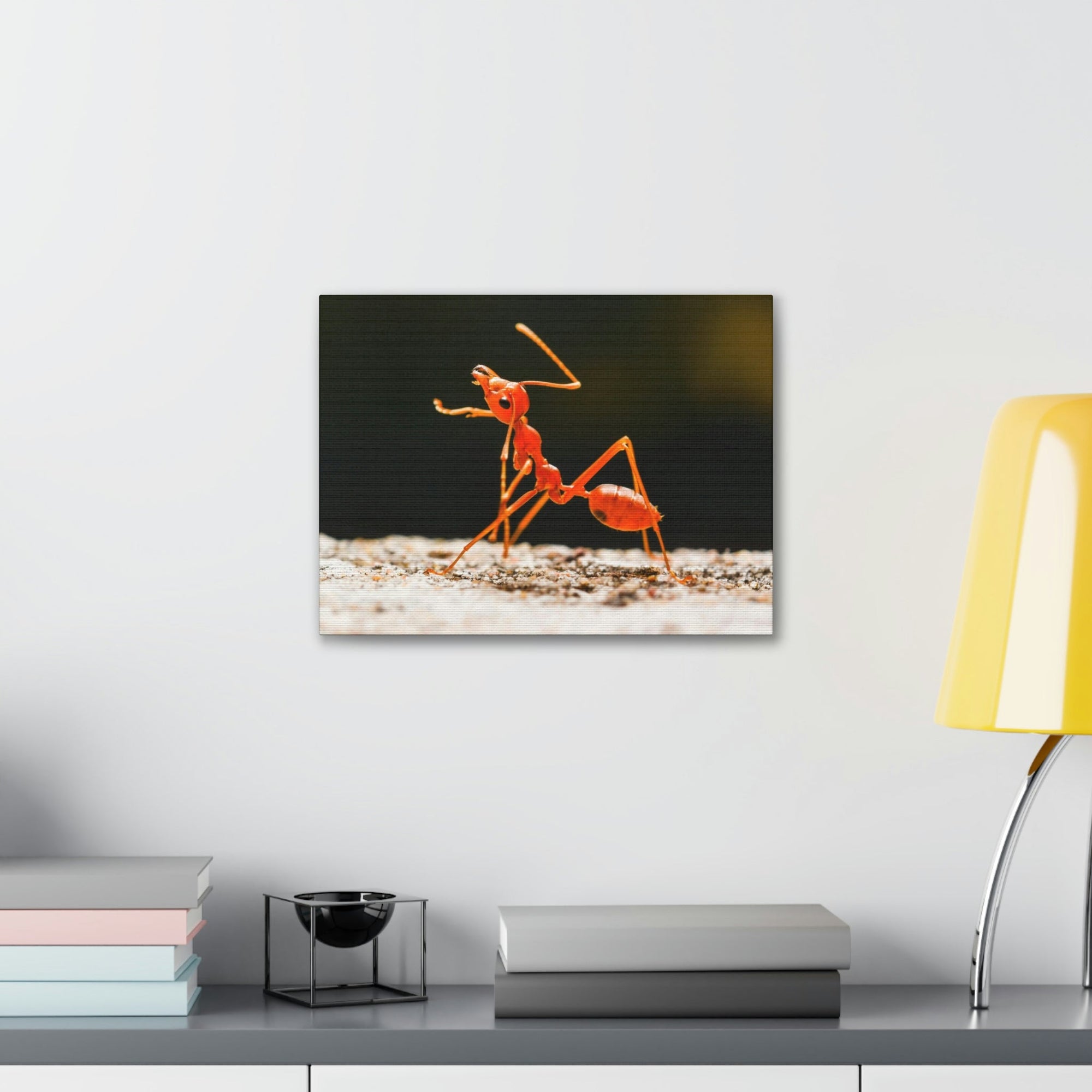 Ant Walk Real Ant Wall Art Ready To Hang Unframed-Express Your Love Gifts