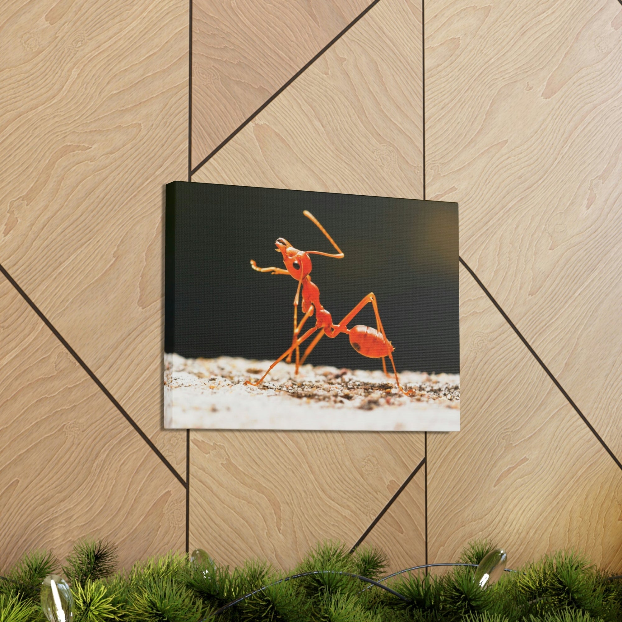 Ant Walk Real Ant Wall Art Ready To Hang Unframed-Express Your Love Gifts