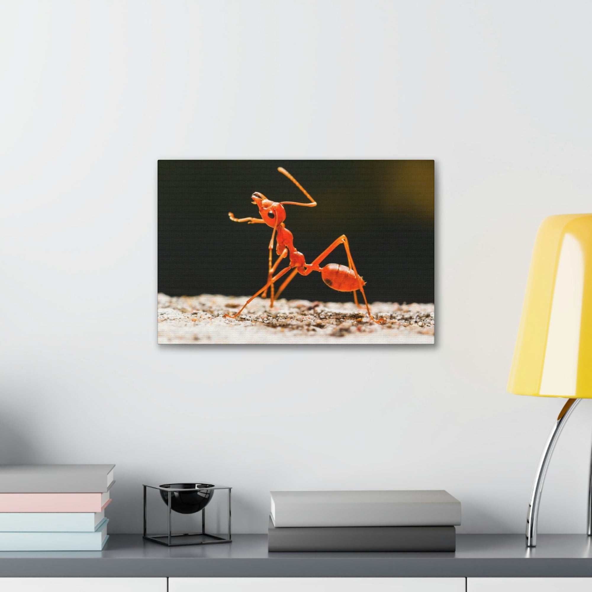 Ant Walk Real Ant Wall Art Ready To Hang Unframed-Express Your Love Gifts